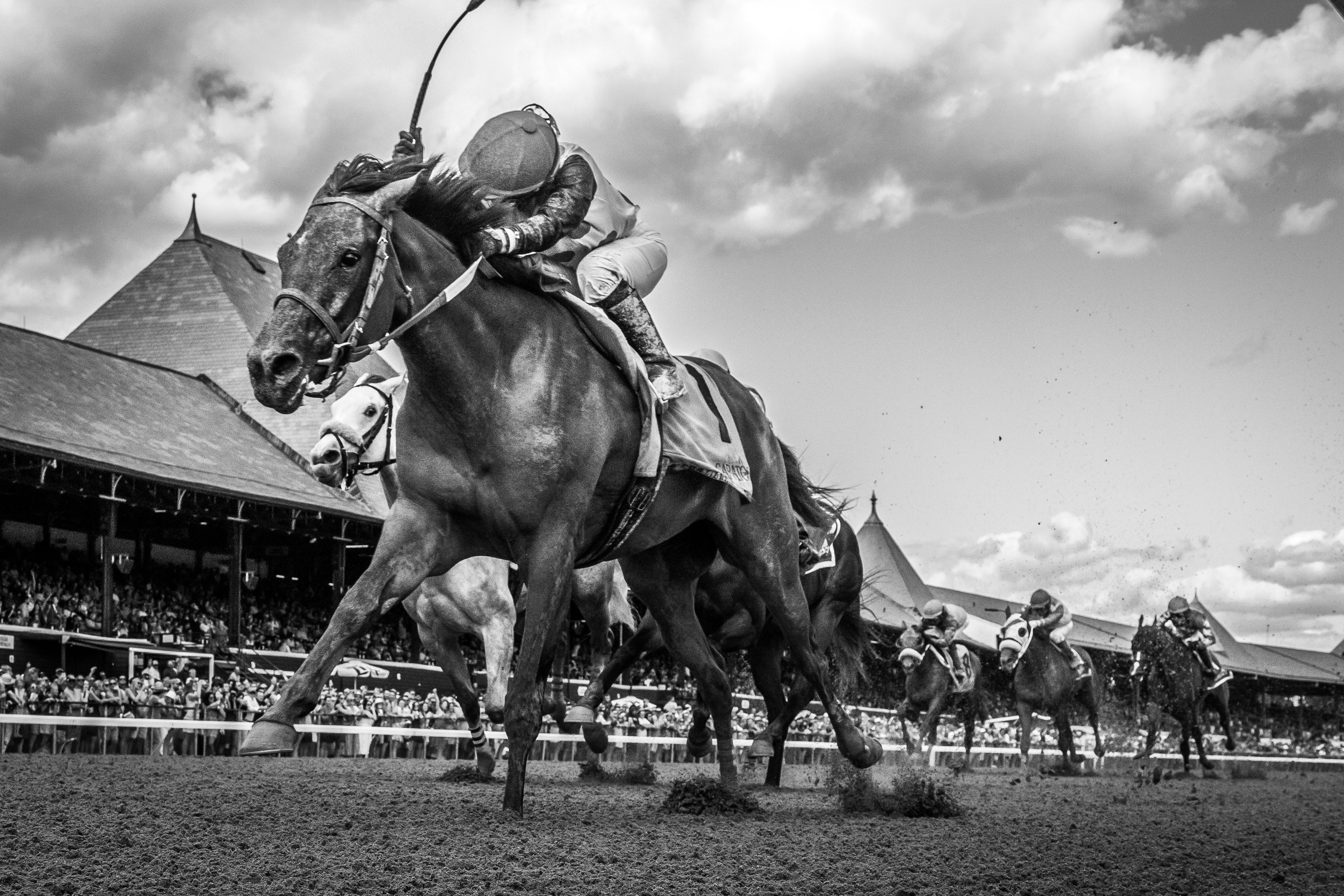 "Vallelujah Victorious" (Saratoga Race Course, Saratoga Springs, NY - August 13, 2022)