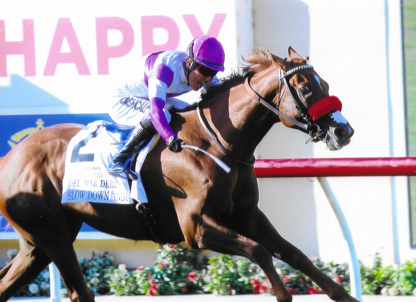 "Andy did not Slow Down" (Del Mar Thoroughbred Club, Del Mar, CA - September 3, 2022), photograph by Nancy Wilkinson