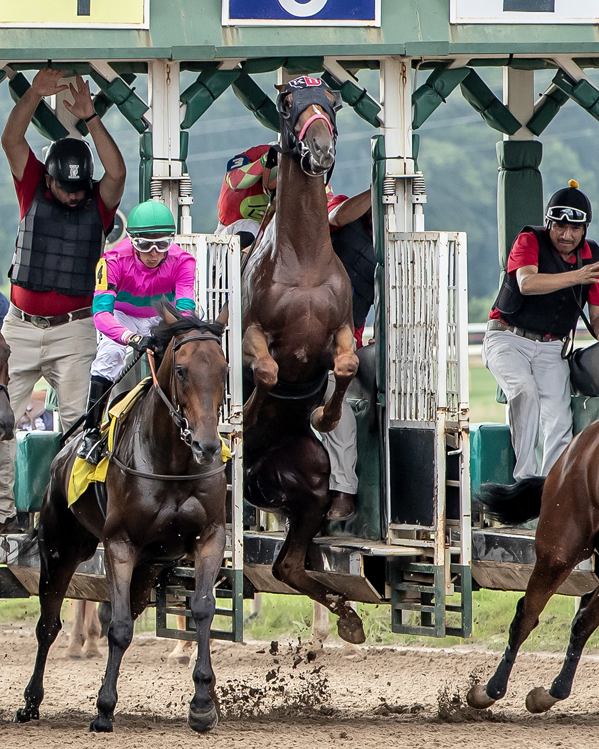 "All Thrust No Vector" (Louisiana Downs, Bossier City, LA - June 18, 2023), photograph by Ann Switalski