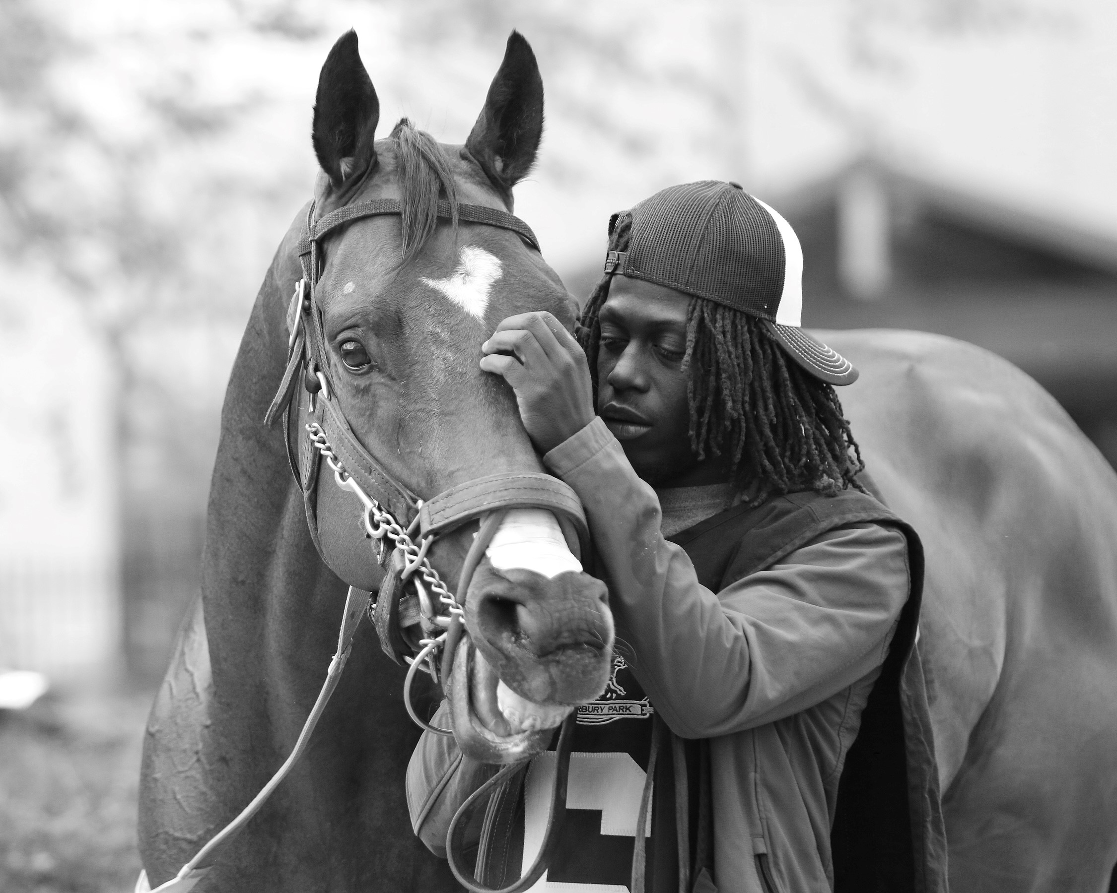 "Pure Love" (Canterbury Park, Shakopee, MN - May 21, 2022), photograph by Heather Grevelis