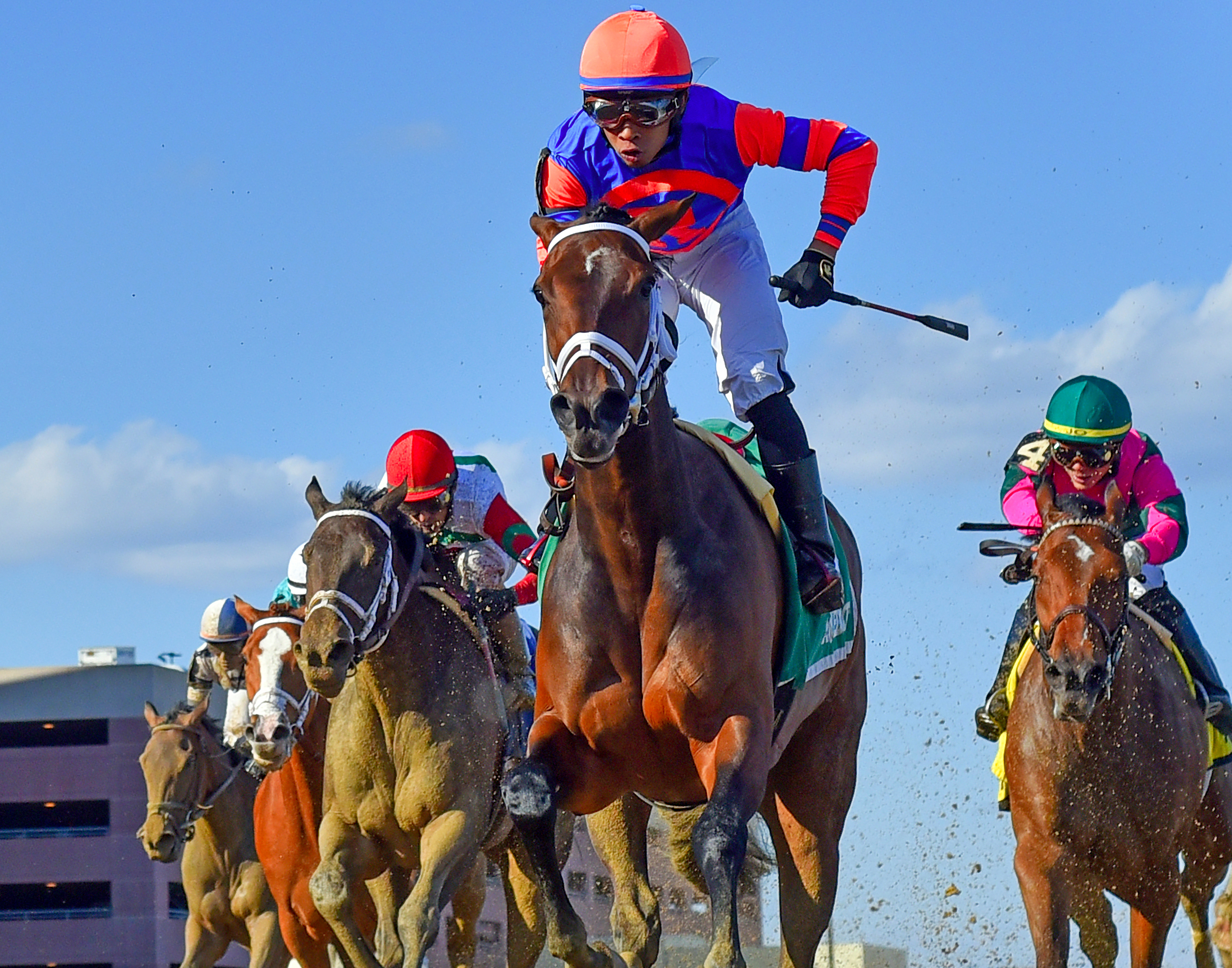 "Always Shopping — Express Lane" (Aqueduct Racetrack, Queens, NY - April 6, 2019), photograph by Dan Heary