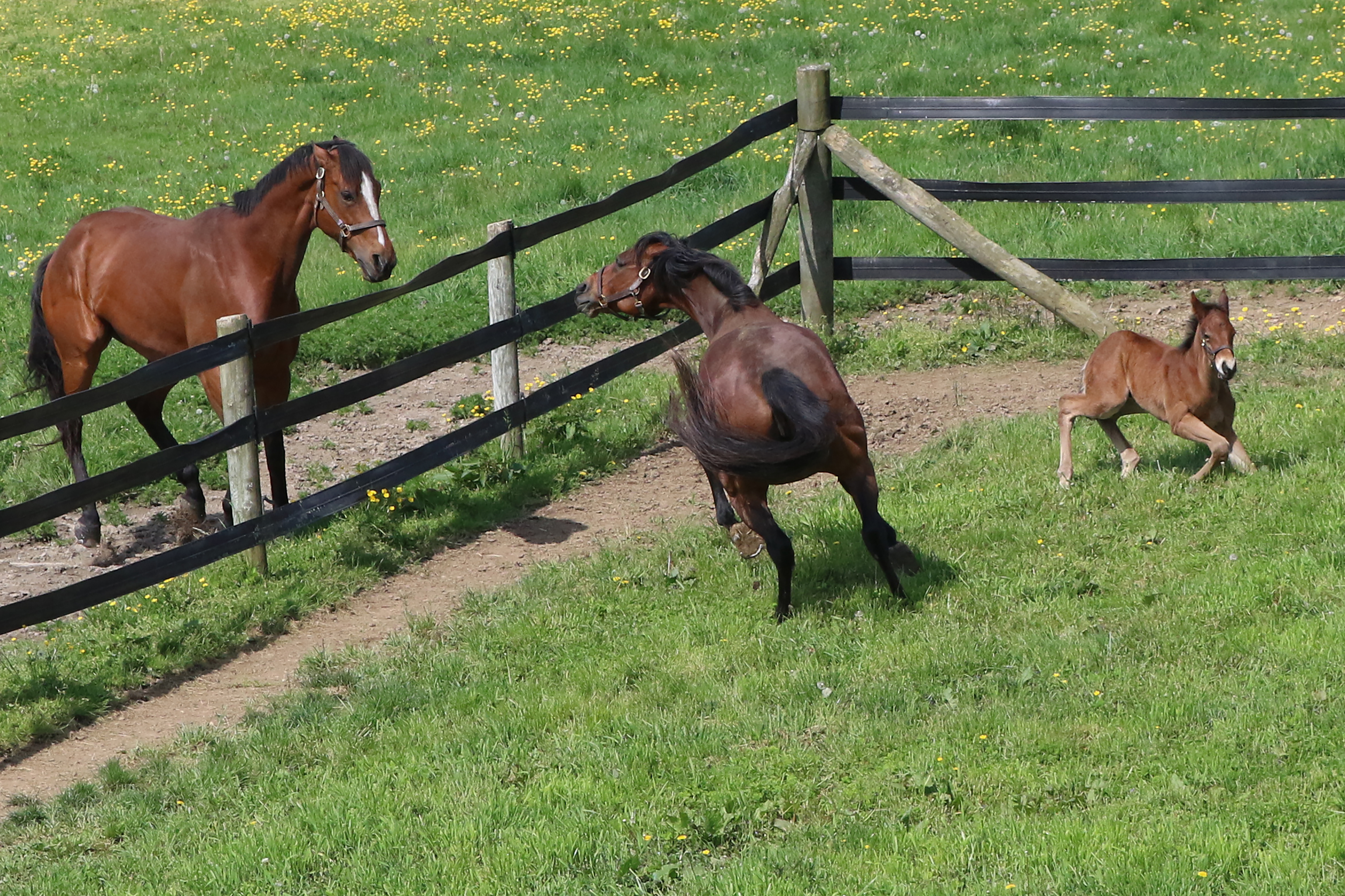 "All Friends Get Dropped When a Baby Comes Along" (Unionville, PA - May 2023), photograph by Ellie Glaccum