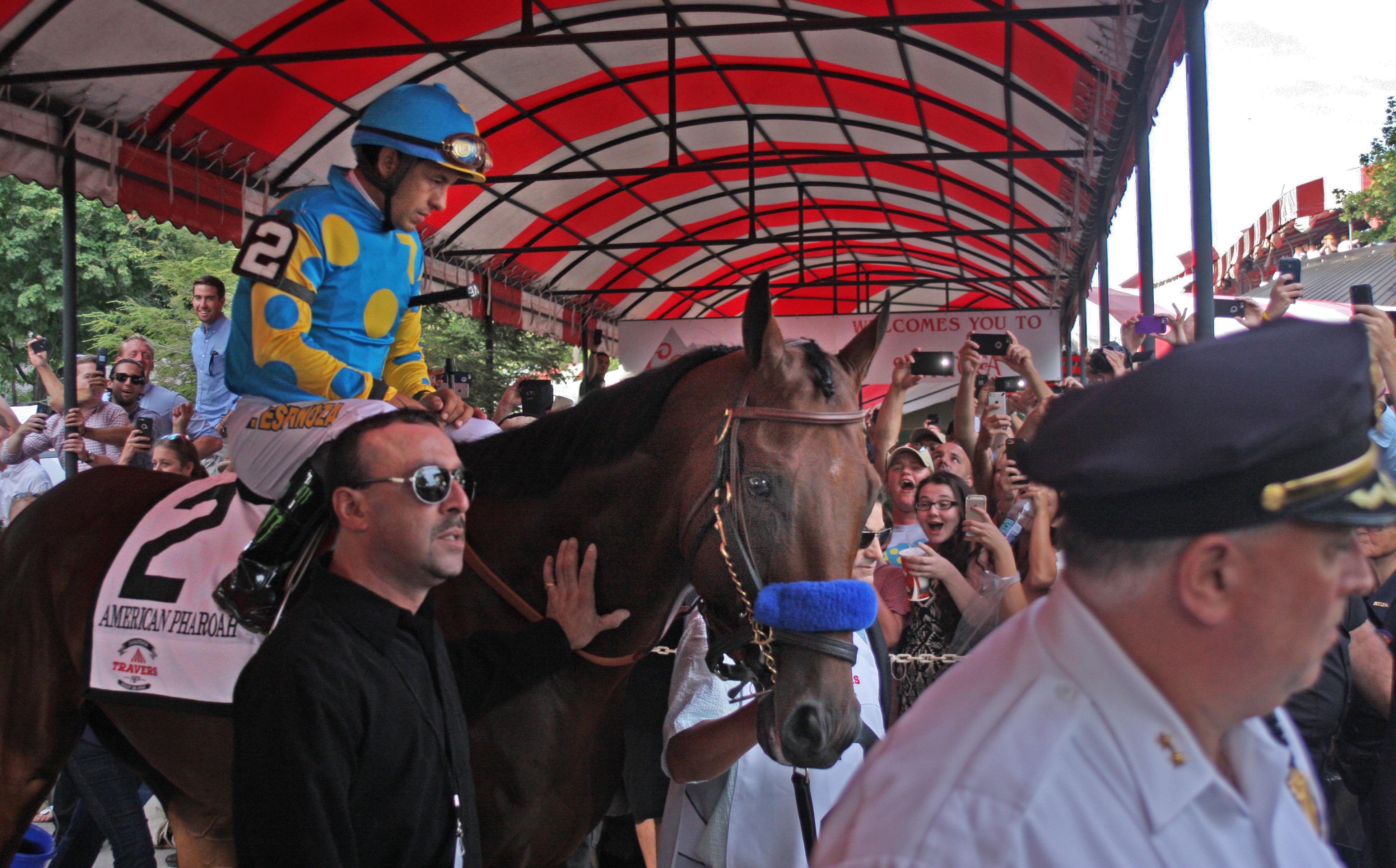 "American Pharoah Enters" (Saratoga Race Course, Saratoga Springs, NY - August 29, 2015), photograph by Dennis G. Hogan