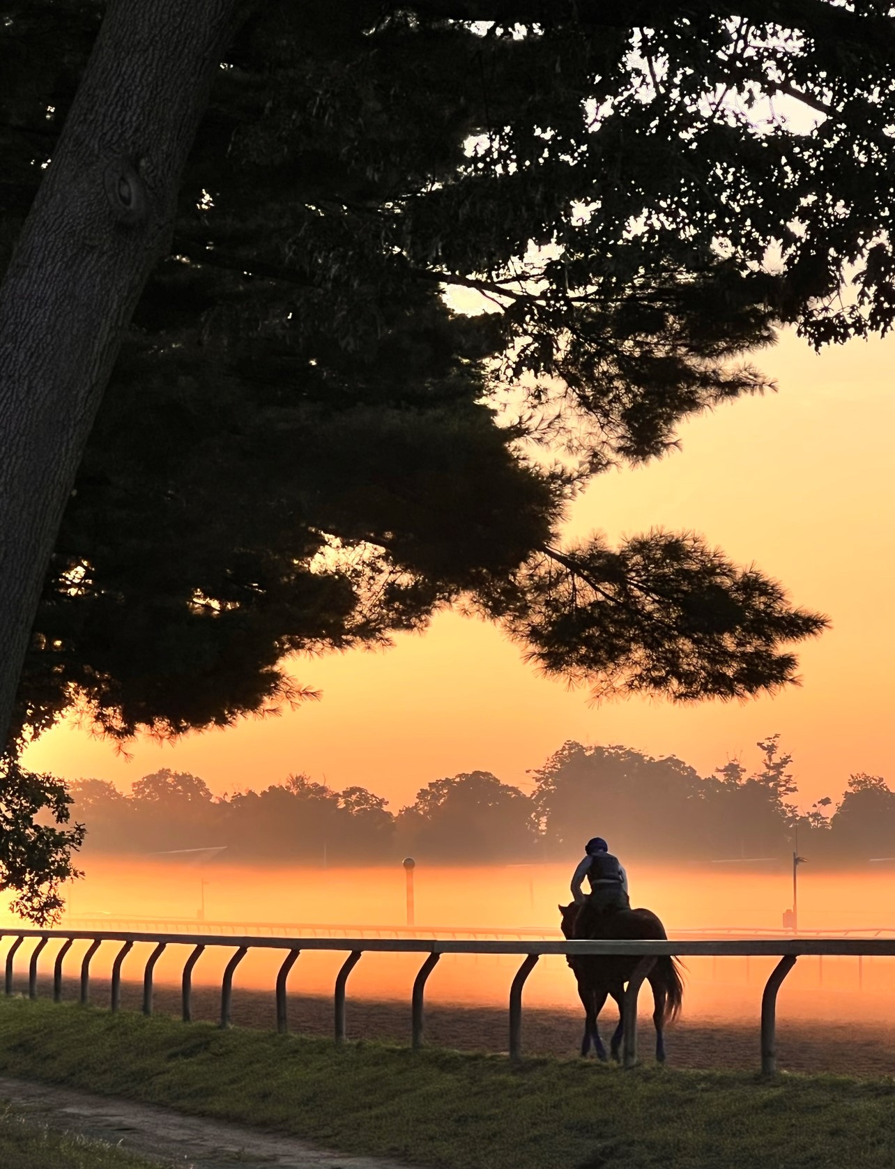 "Serenity Morning" (Oklahoma Training Track, Saratoga Springs, NY - Summer 2022), photograph by Sue Jeffreys