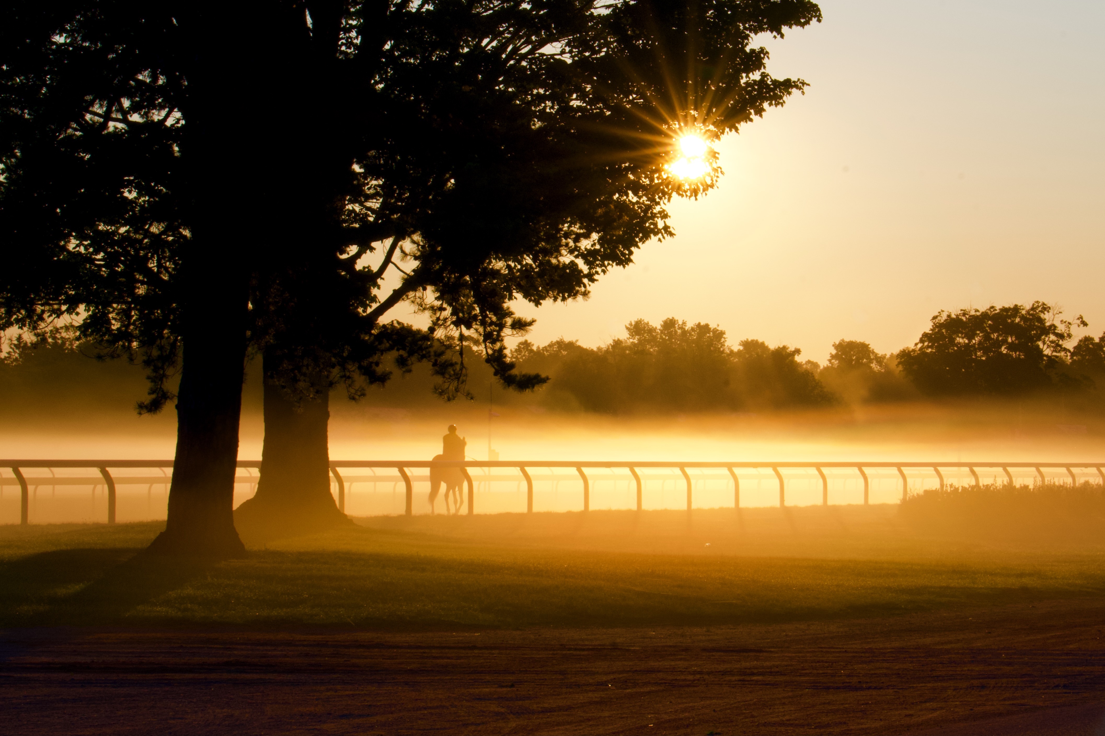 "Foggy Sunrise on the Oklahoma" (Oklahoma Training Track, Saratoga Springs, NY - June 2023), photograph by Stephanie Cowser