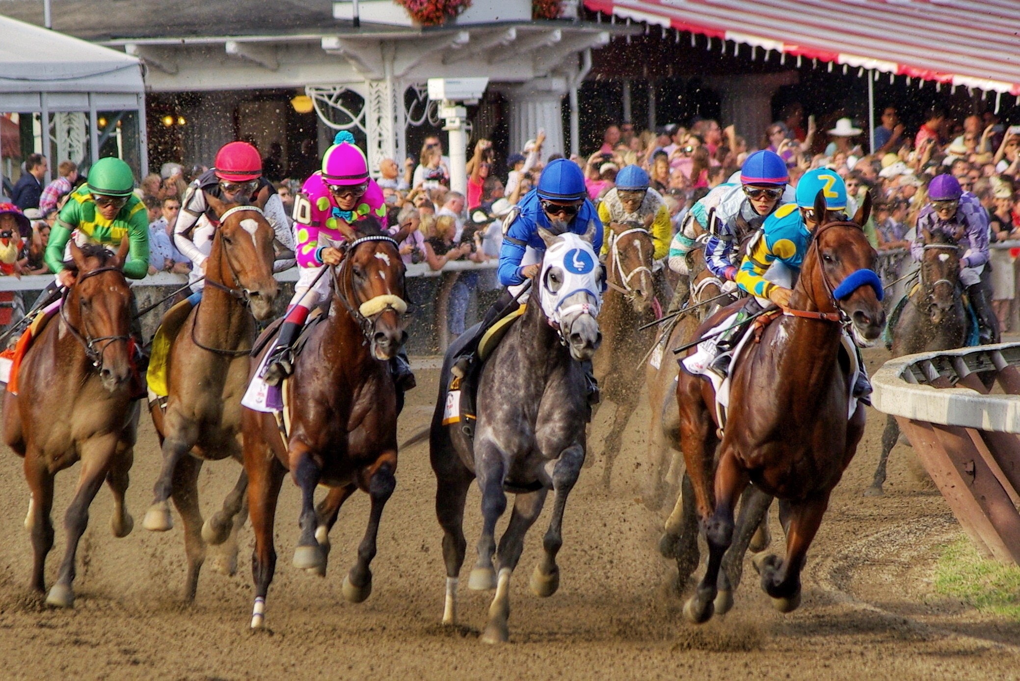 "Champion Travers Palette" (Saratoga Race Course, Saratoga Springs, NY - August 29, 2015), photograph by Frank J. Panucci