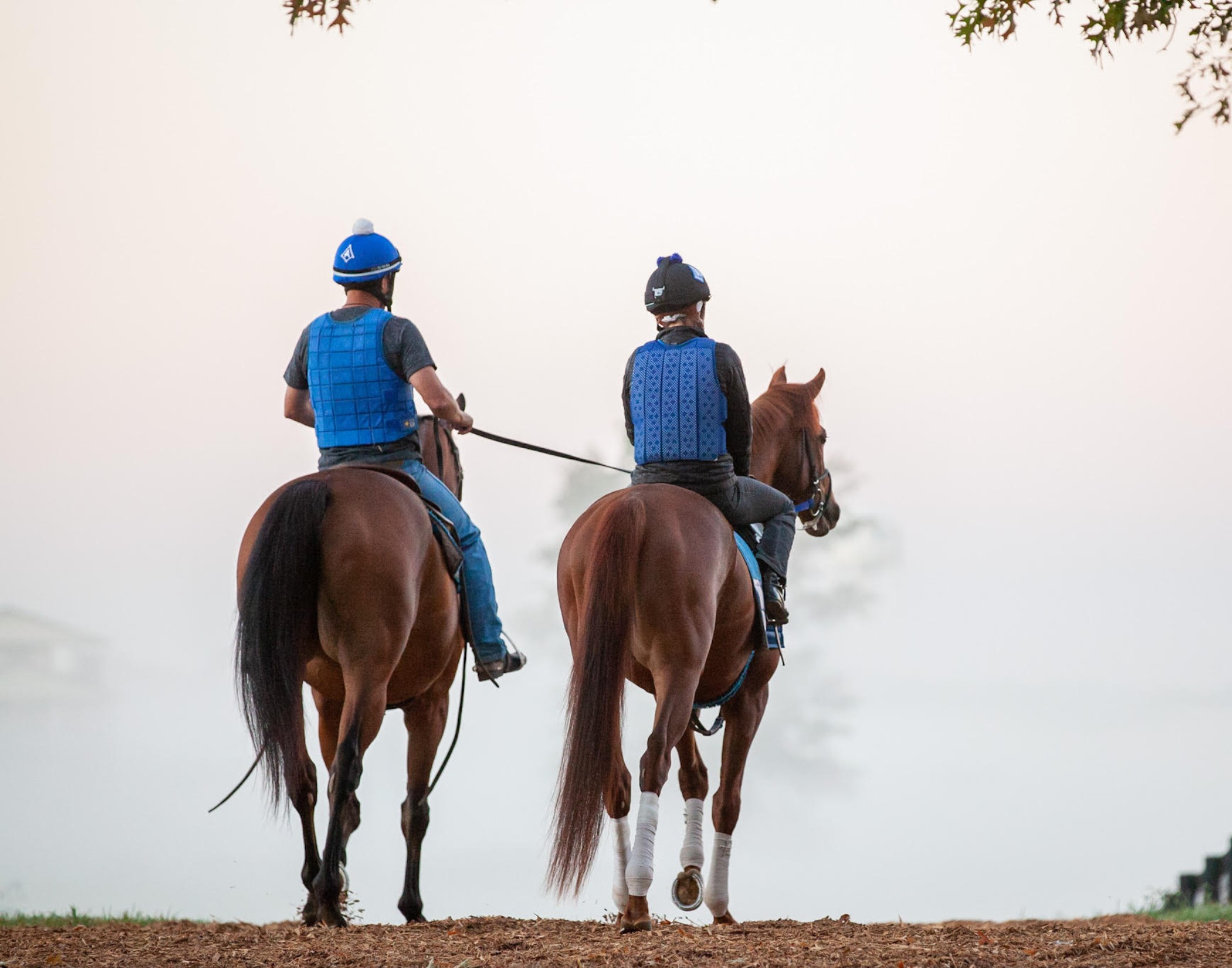 "First to the Track" (Kentucky Downs, Franklin, KY - August 31, 2023), photograph by Grace Clark