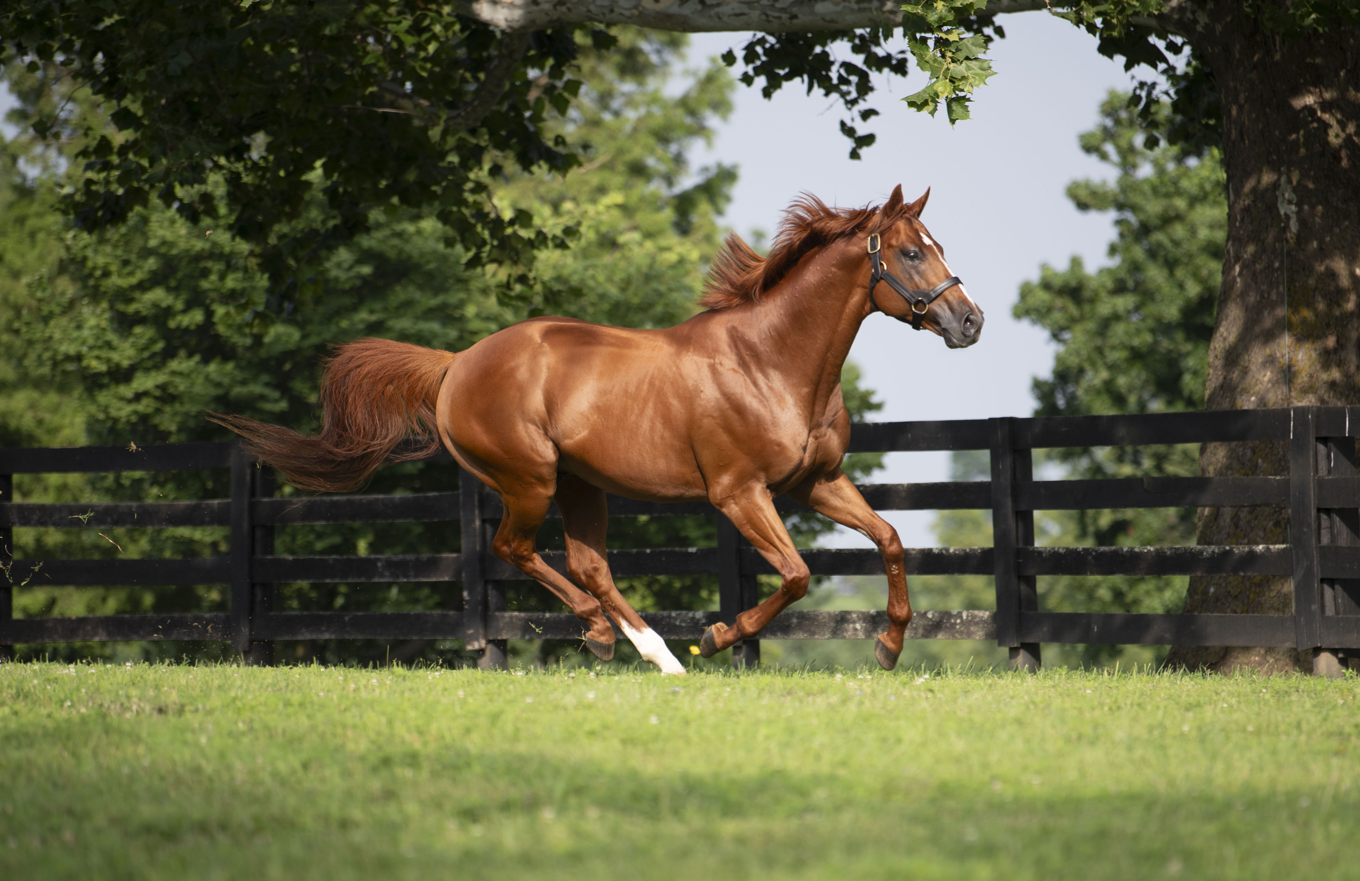 "Vino Rosso" by Kendall Wucker