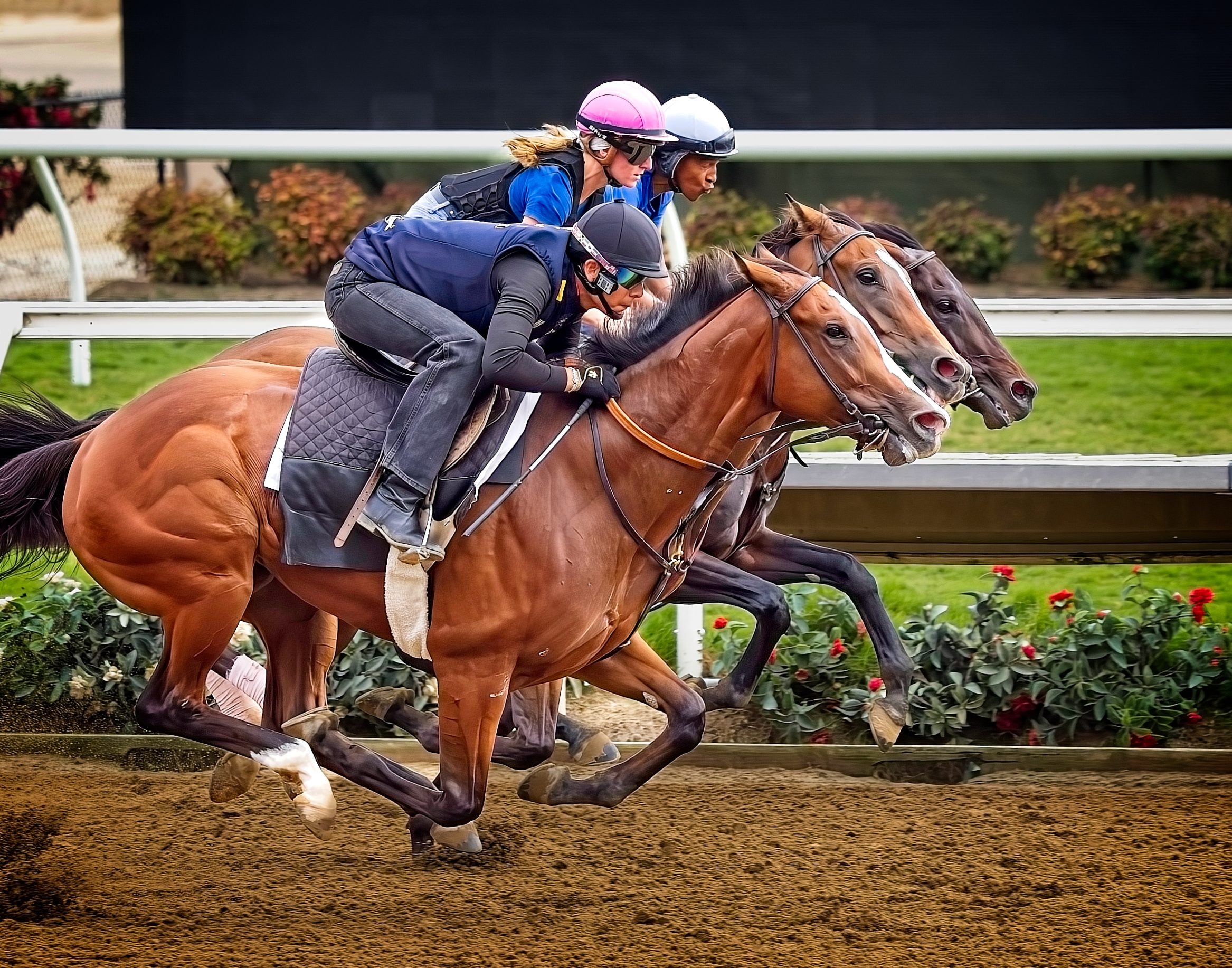 "Dead Heat in the Morning" by Gary Schwartzwald