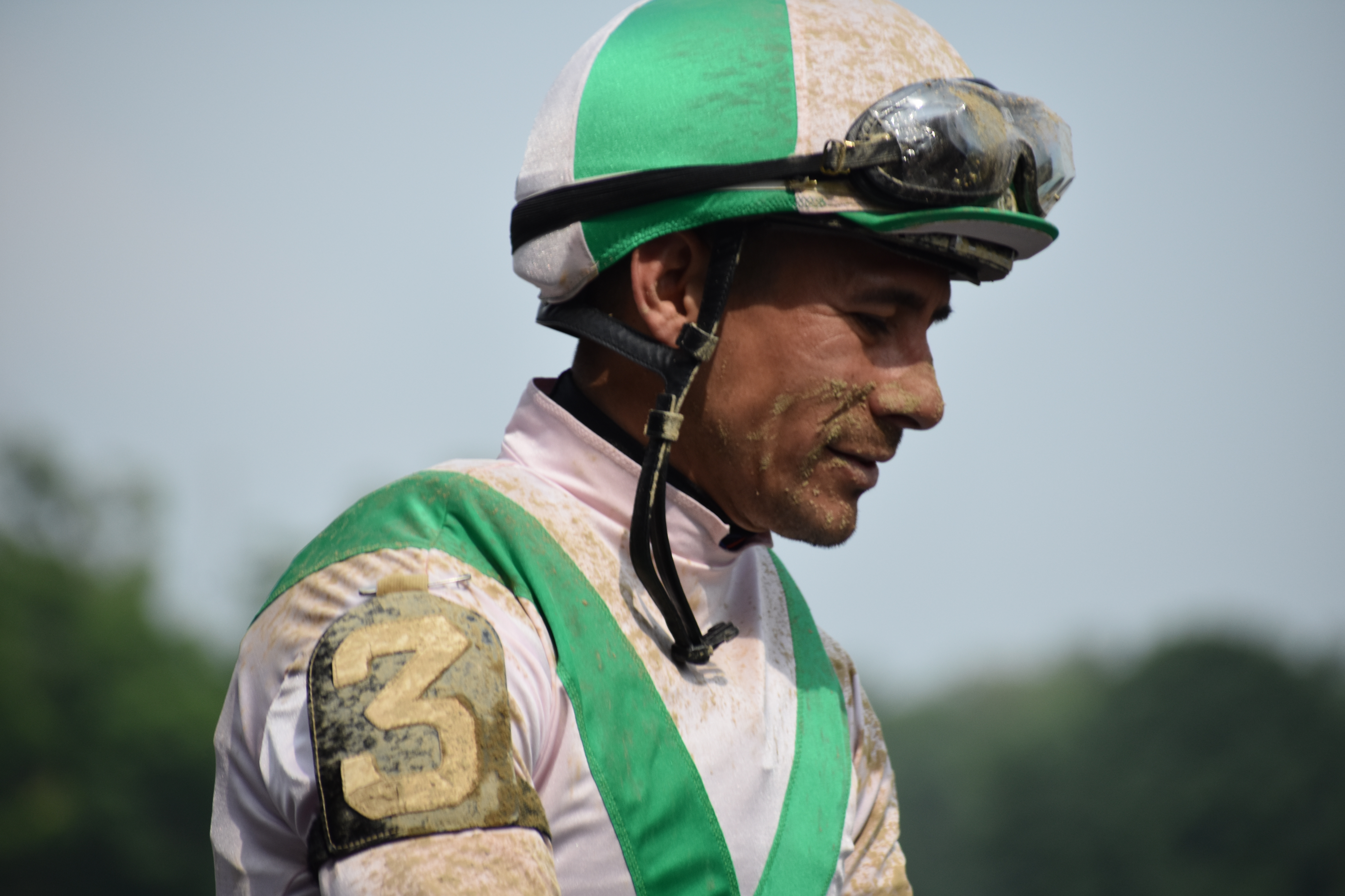 "Another Muddy Victory" by Deborah Miles