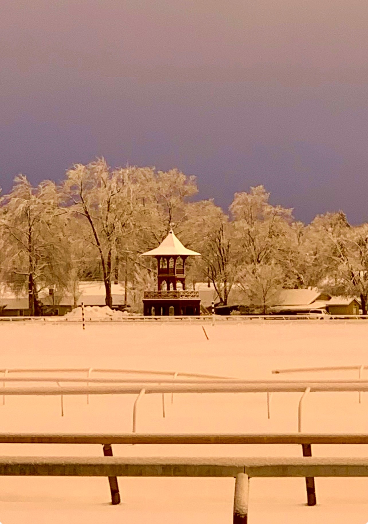 "Winter’s Whitney Stand" by Sue Jeffreys