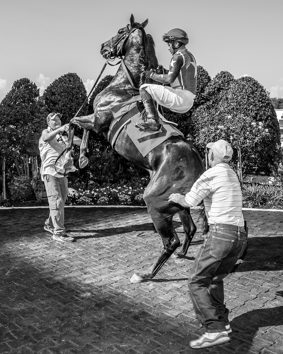 "Heads Up Seven Up" by Ann Switalski