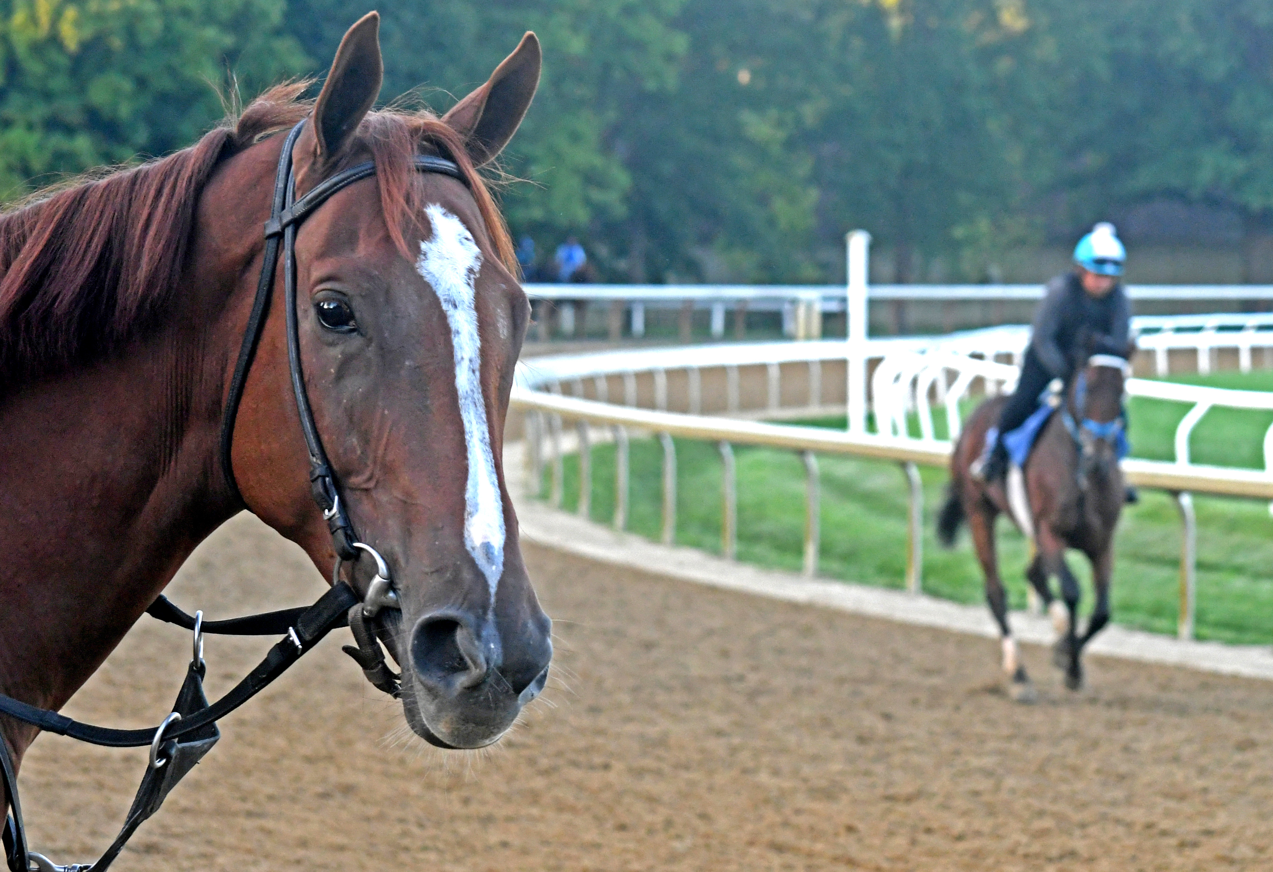 "Taking It All In" by Chuck Schaub