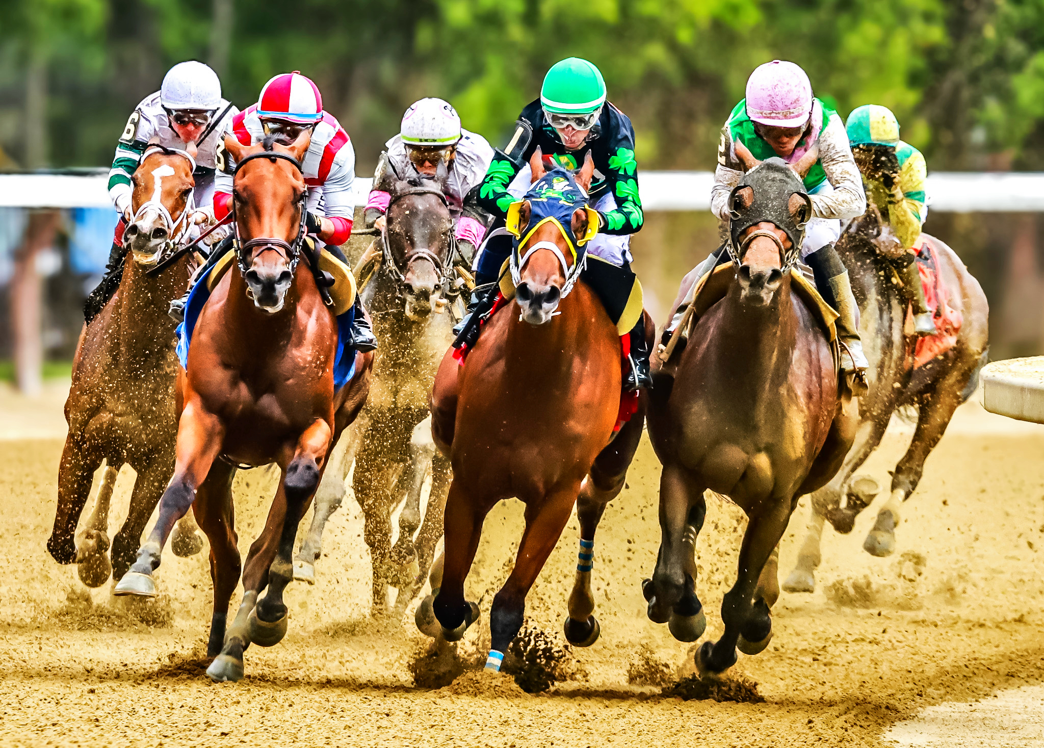 "Luck of the Irish" by Amy Shores