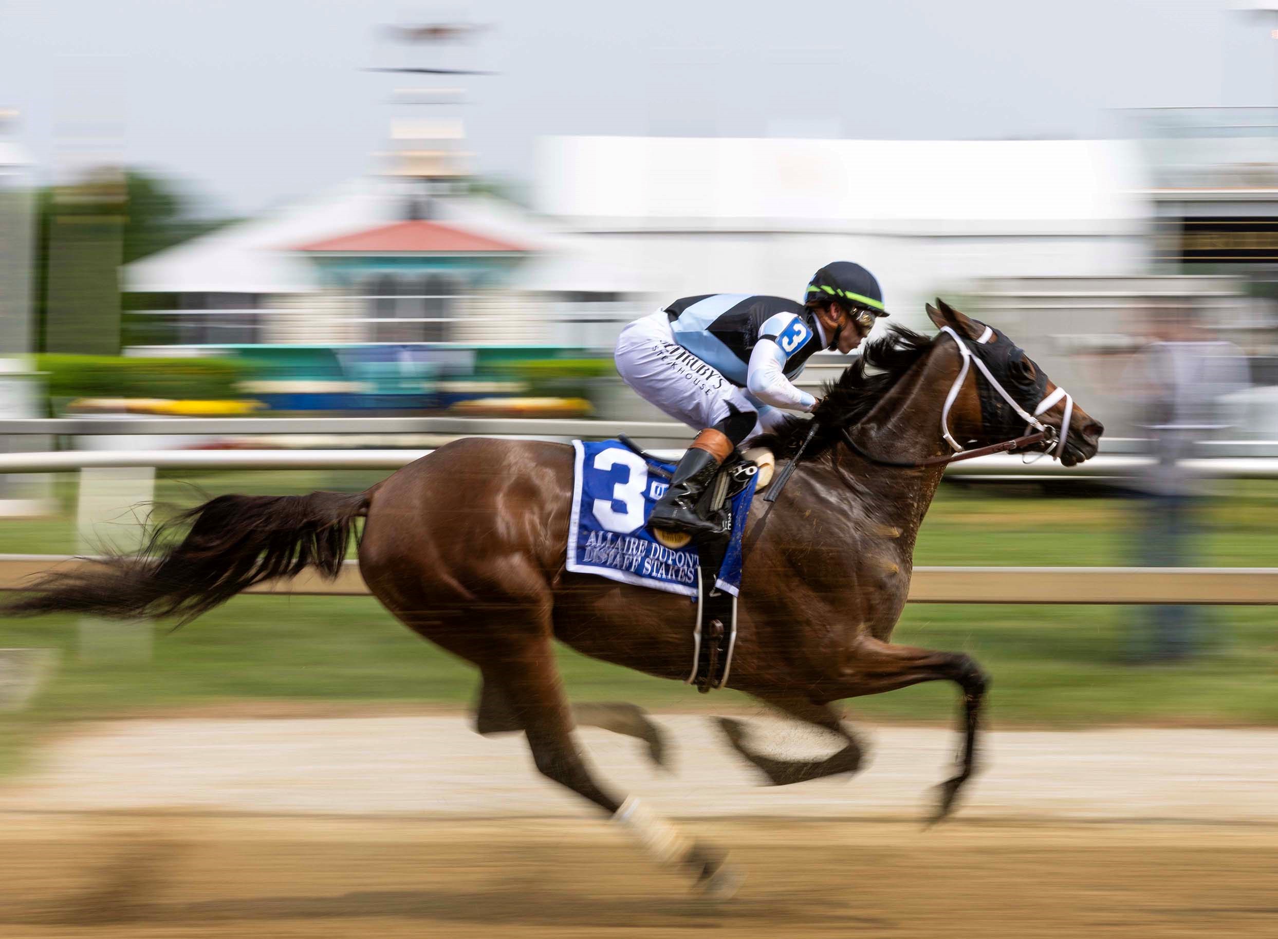 "Speed on Old Hilltop" by Tim Sudduth