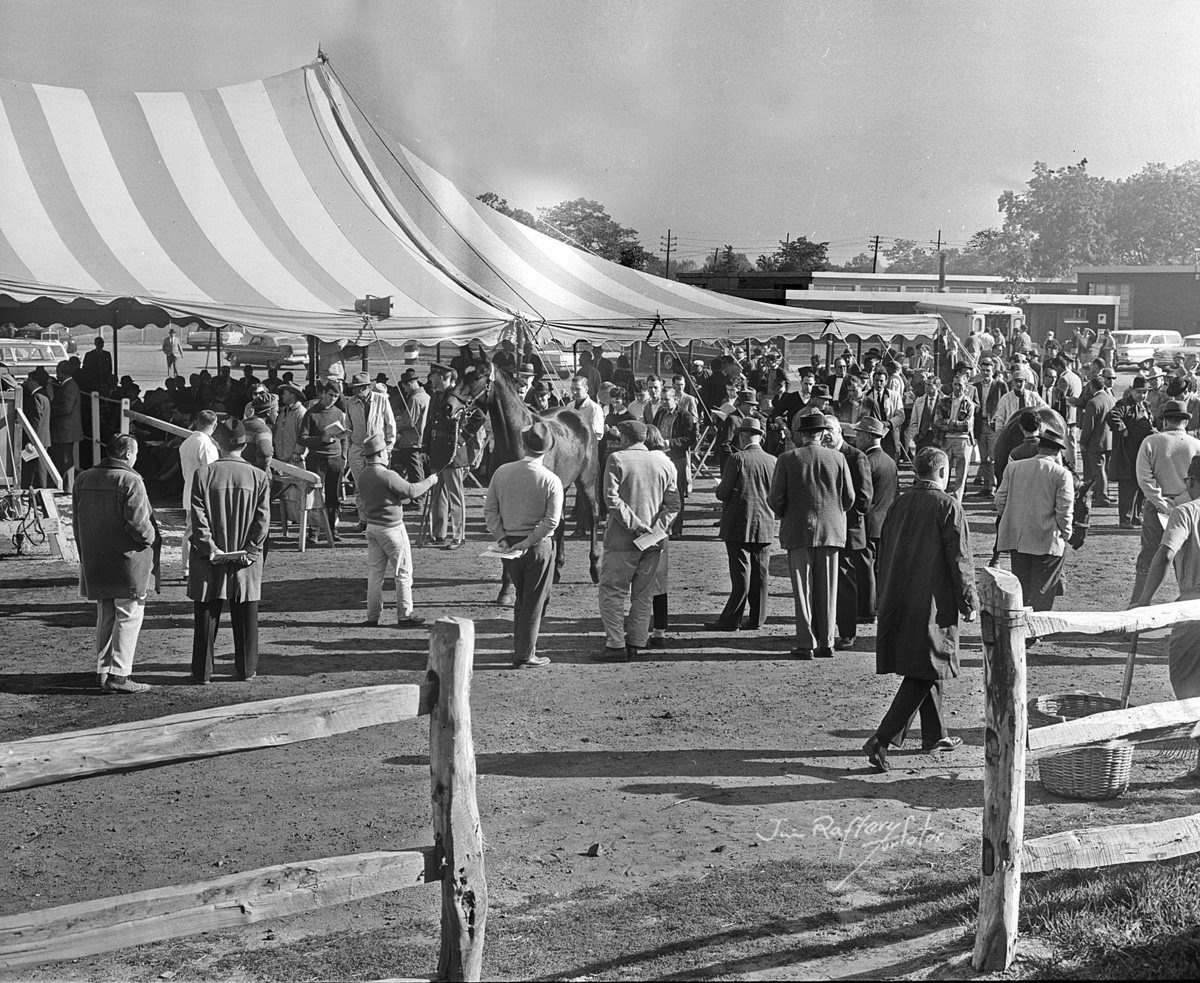 Belmont Park horse sales, Oct. 14, 1963 (Jim Raftery Turfotos)