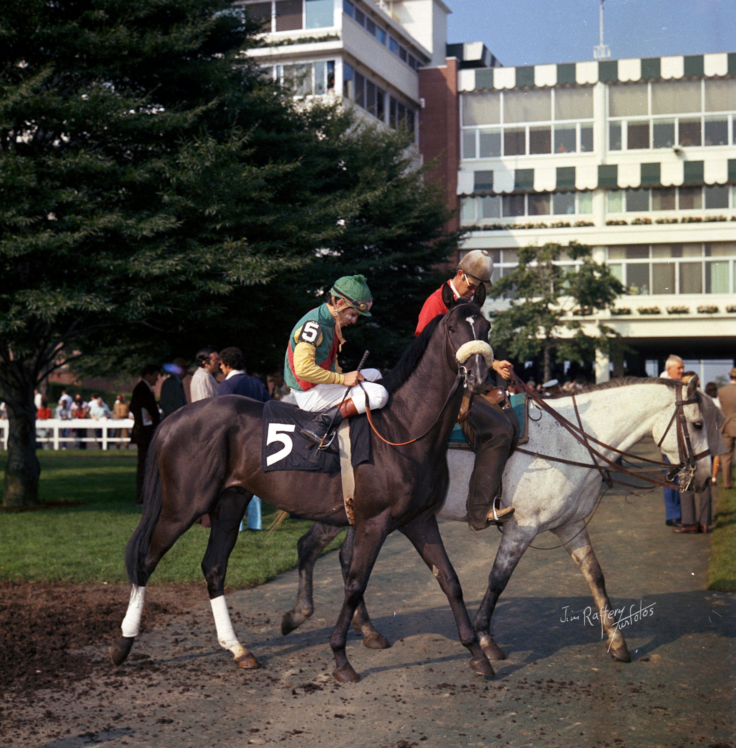 Halo, Vince Bracciale up, at Monmouth Park, July 1, 1972 (Jim Raftery Turfotos)