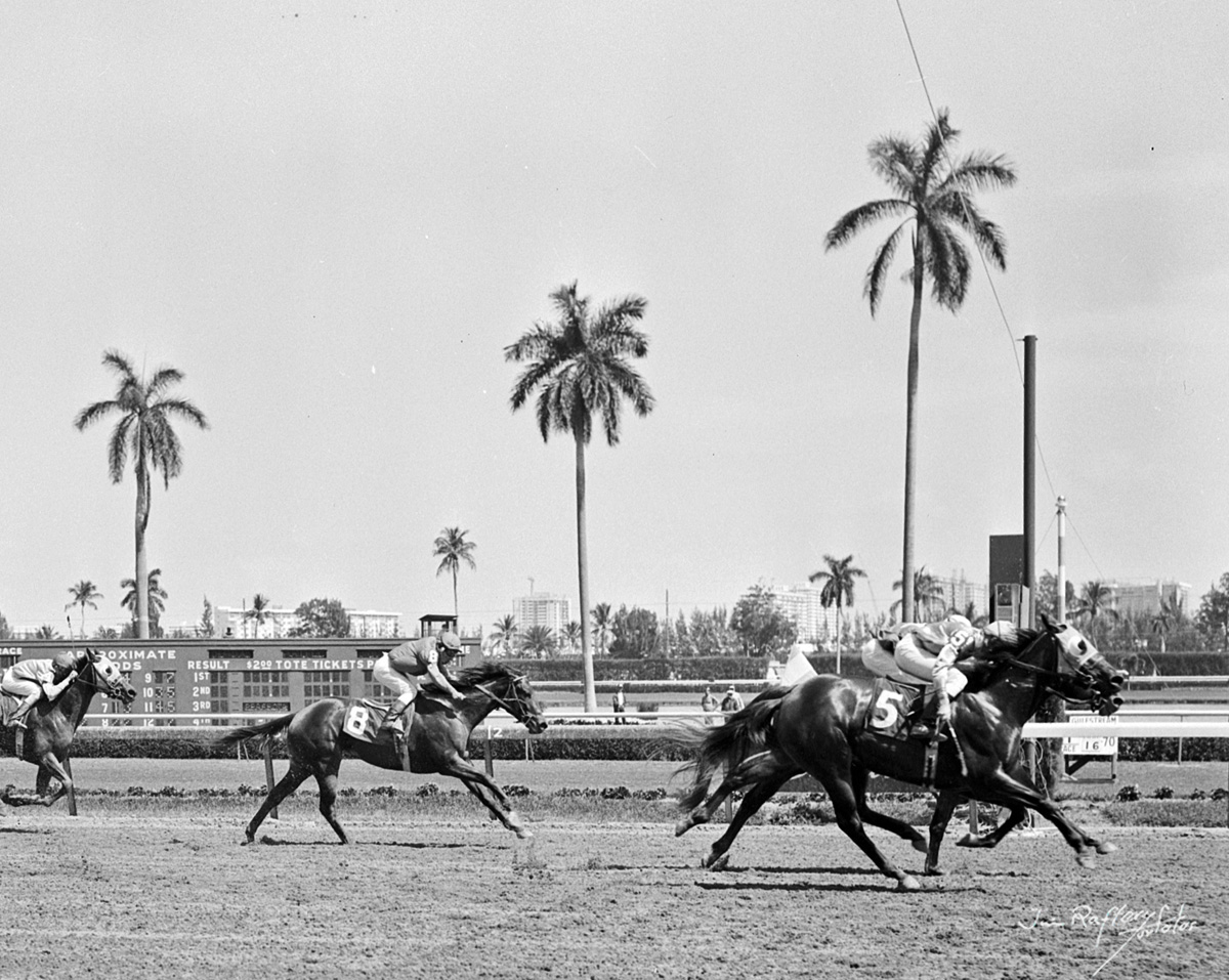 Jockette, Diane Crump up, finishes in a dead heat with Ice Brigade, Sandy Hawley up, at Gulfstream Park, March 16, 1970 (Jim Raftery Turfotos)