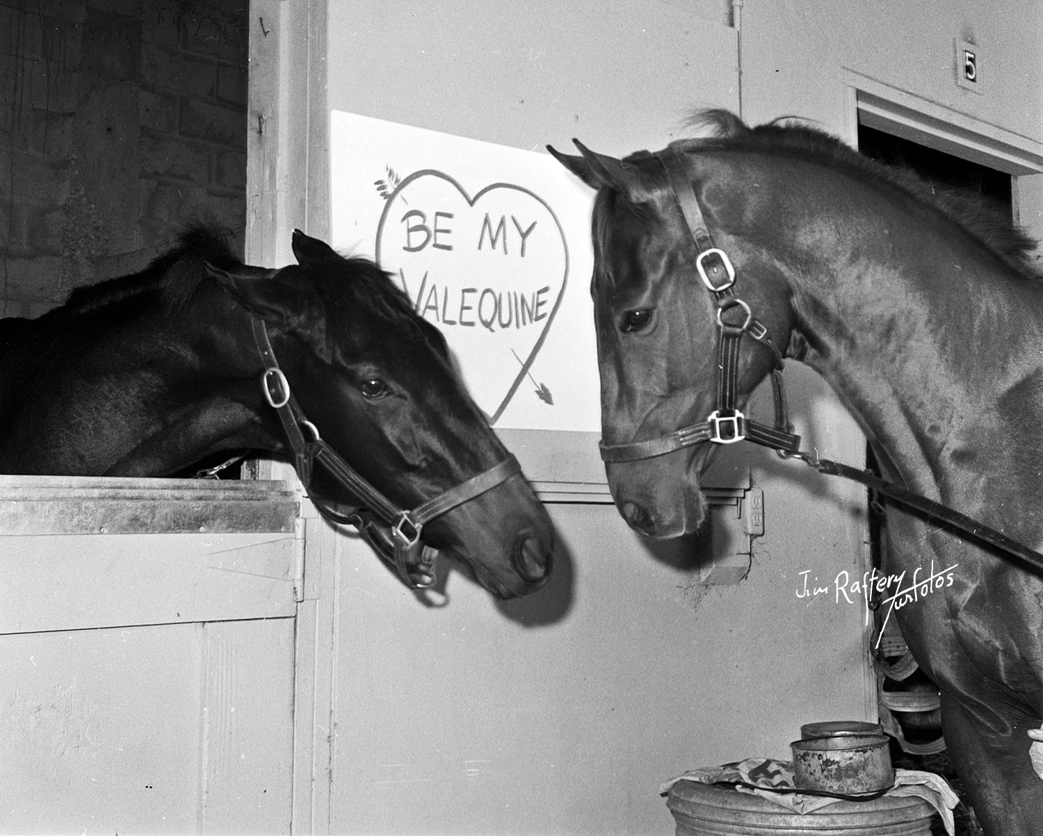 Lady Chatterly (in stall) and Lover, photographed for a Valentine's Day promotional image, Hialeah Park, Feb. 10, 1970 (Jim Raftery Turfotos)