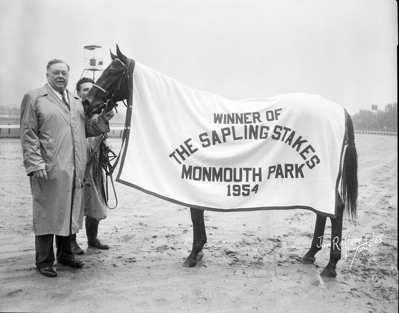 Royal Coinage, winner of the Sapling Stakes, Aug. 9, 1954 (Jim Raftery Turfotos)
