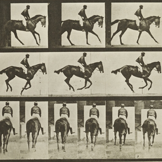 Eadweard Muybridge, Animal Locomotion, Plate 620 (Canter; saddle; thoroughbred bay mare Annie G.), 1887, collotype (photomechanical print), The Jack Shear Collection of Photography at the Tang Teaching Museum, 2015.1.31 (detail)
