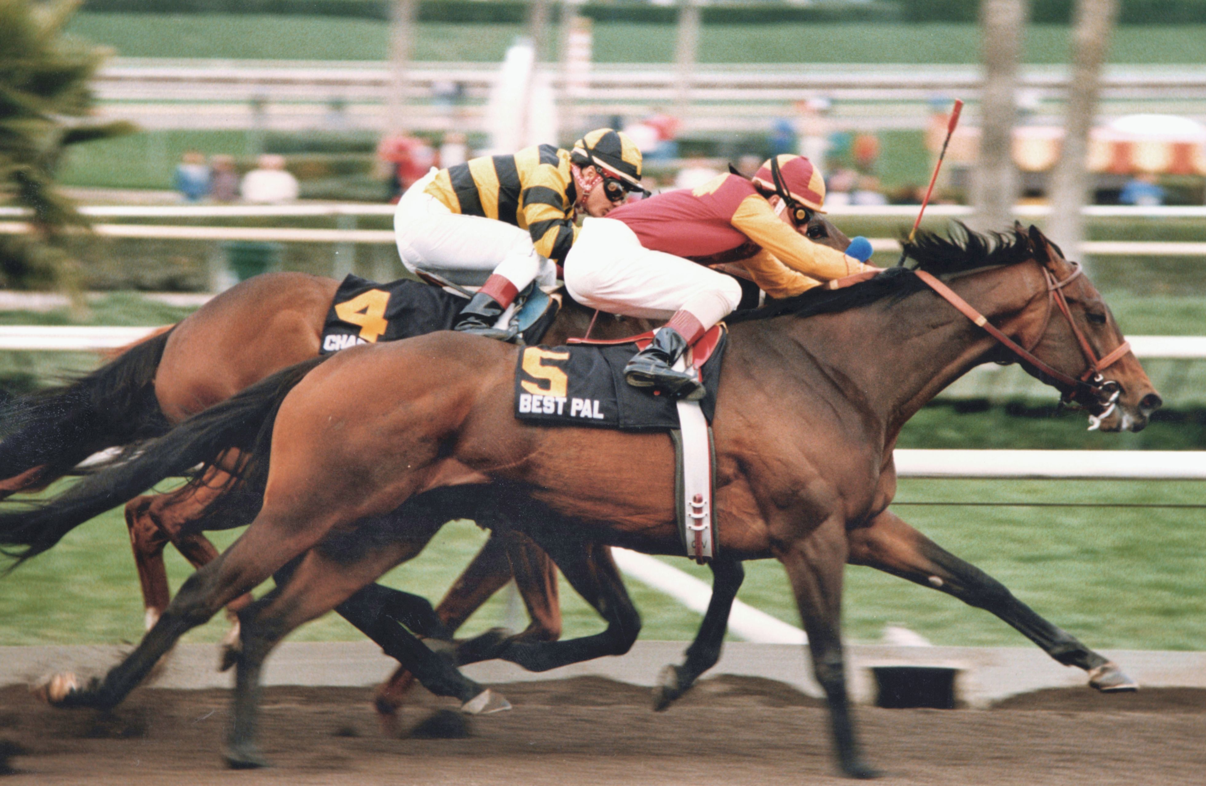 Best Pal (Kent Desormeaux up) winning the 1992 Charles H. Strub Stakes at Santa Anita (Benoit Photo)