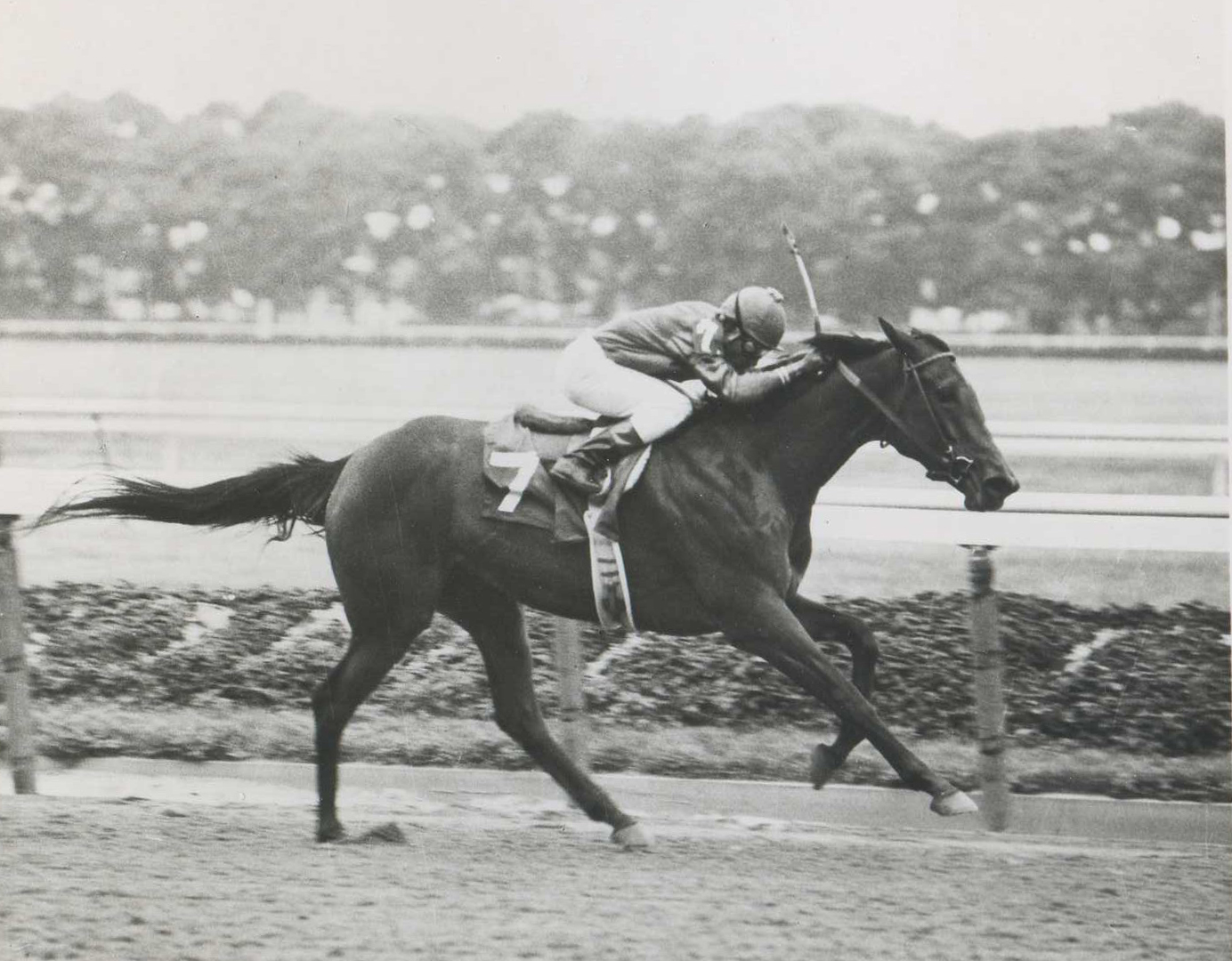 Davona Dale with Jorge Velasquez up in 1979 (NYRA/Photo Communcations /Museum Collection)