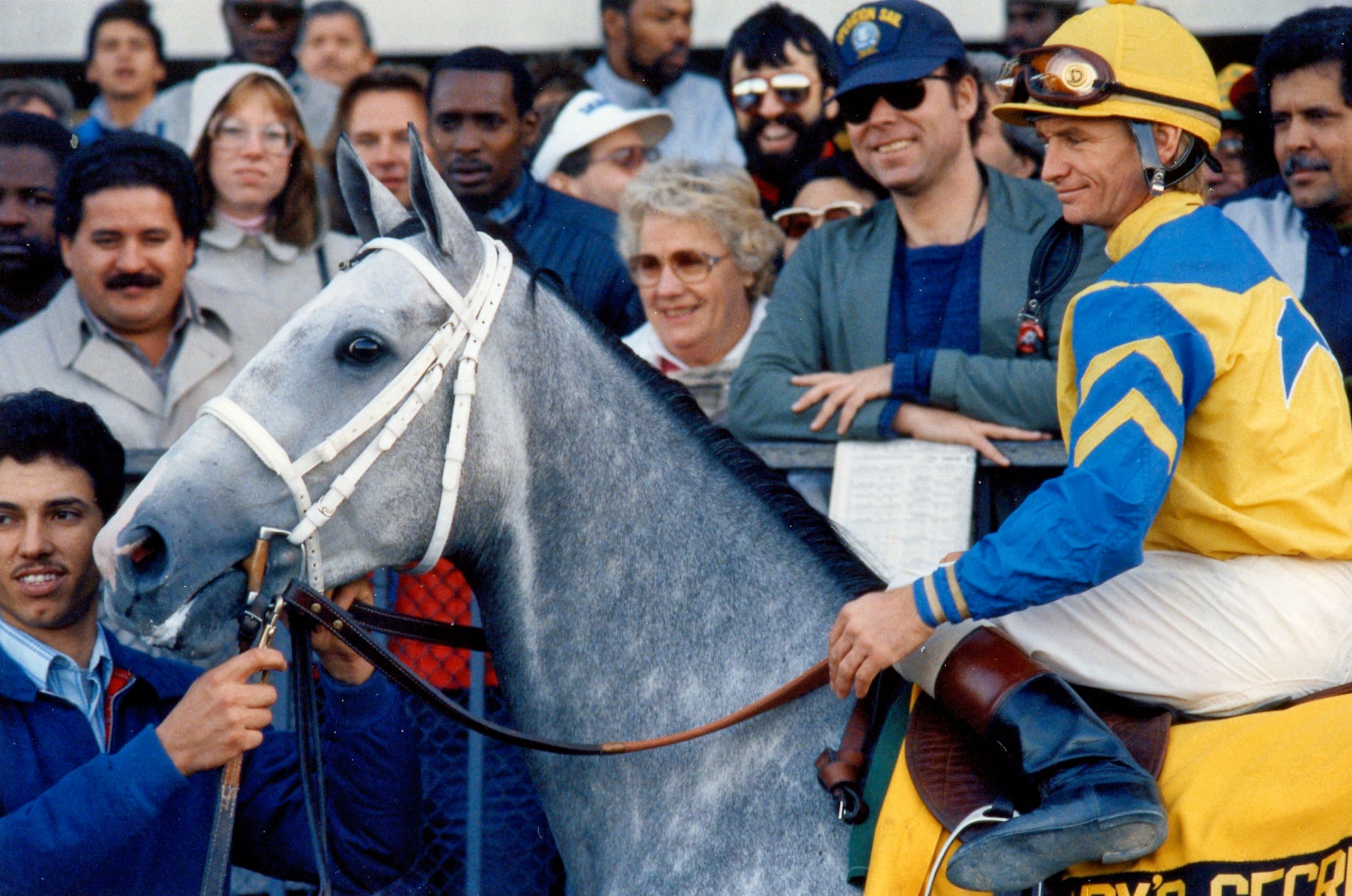 Lady's Secret (Pat Day up) in the winner's circle at Belmont Park in 1986 for Lady's Secret Day (Barbara D. Livingston/Museum Collection)