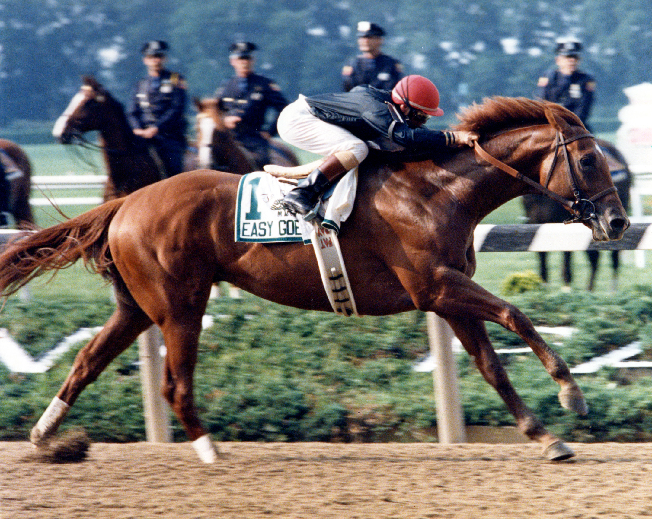 Easy Goer (Pat Day up) winning the 1989 Belmont Stakes (NYRA/Bob Coglianese /Museum Collection)
