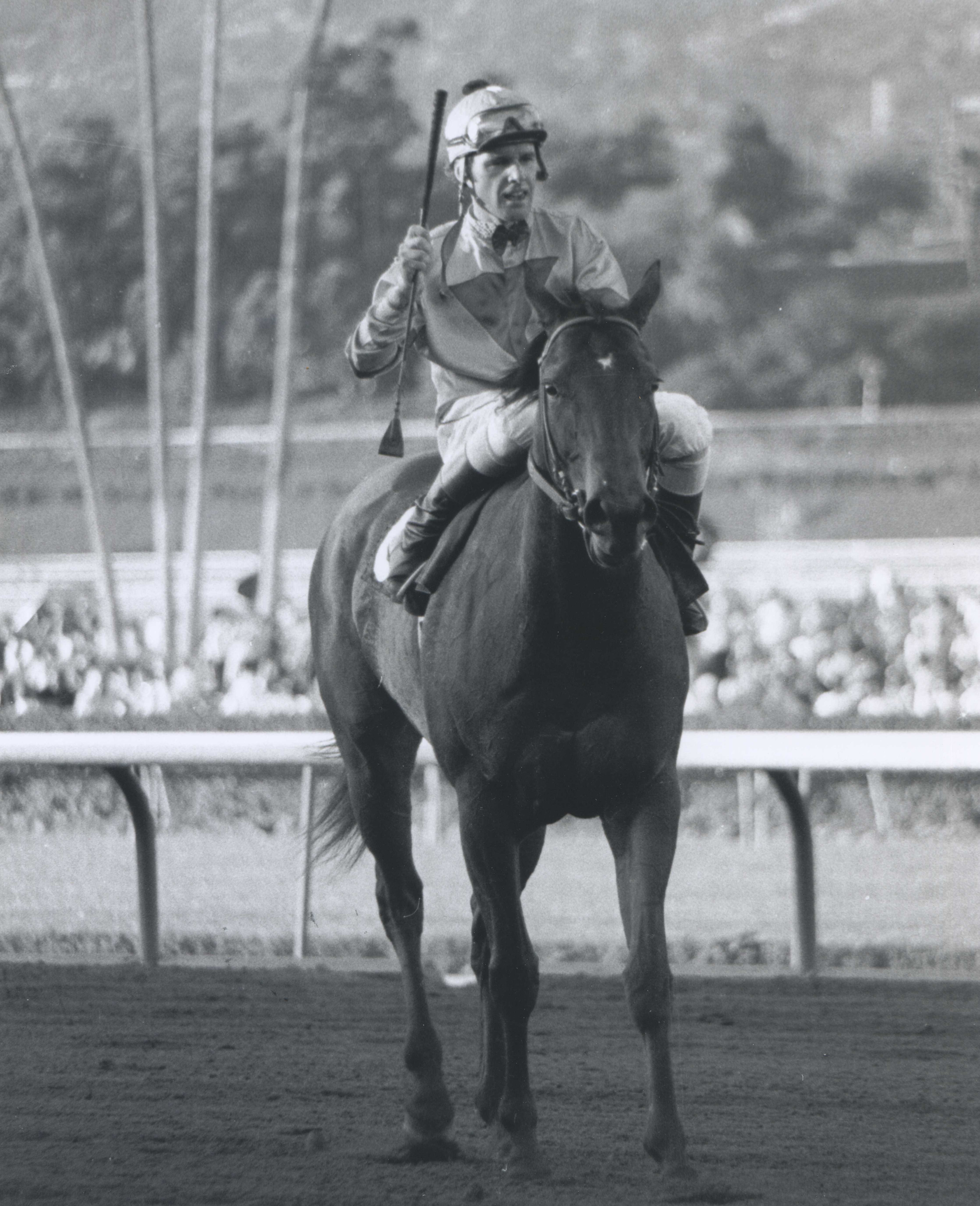 Bold 'n Determined (Eddie Delahoussaye up) on the track for the 1980 Pasadena Stakes at Santa Anita (Bill Mochon/Museum Collection)