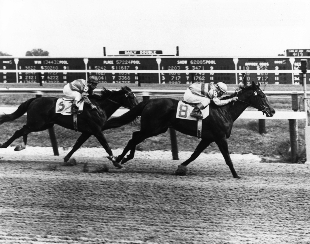 Affectionately (Ismael Valenzuela up) winning the 1962 Polly Drummond Stakes at Delaware Park (The BloodHorse/Museum Collection)