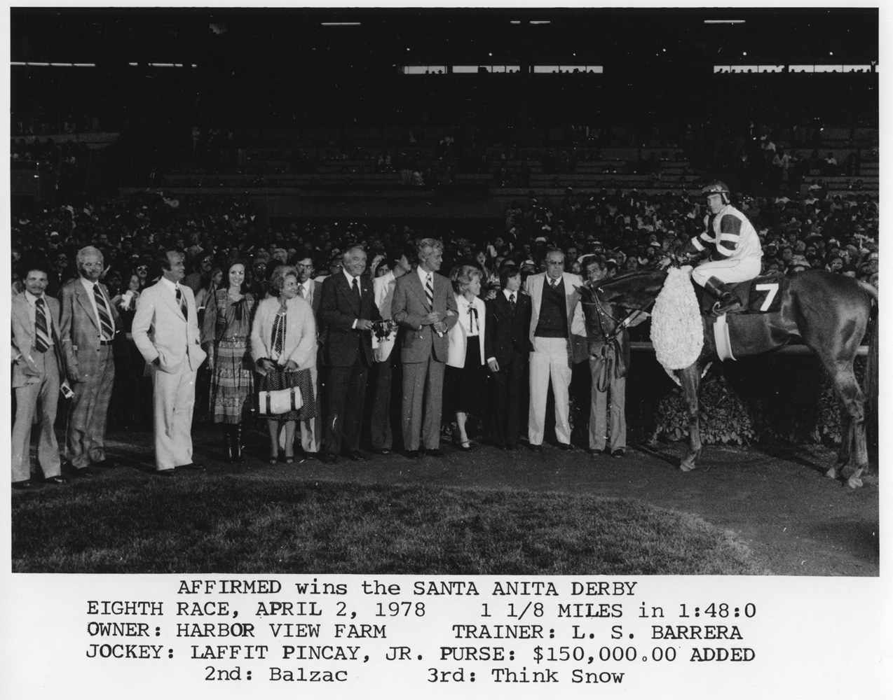 Affirmed (Steve Cauthen up) in the winner's circle for the 1978 Santa Anita Derby (Bill Mochon/Museum Collection)