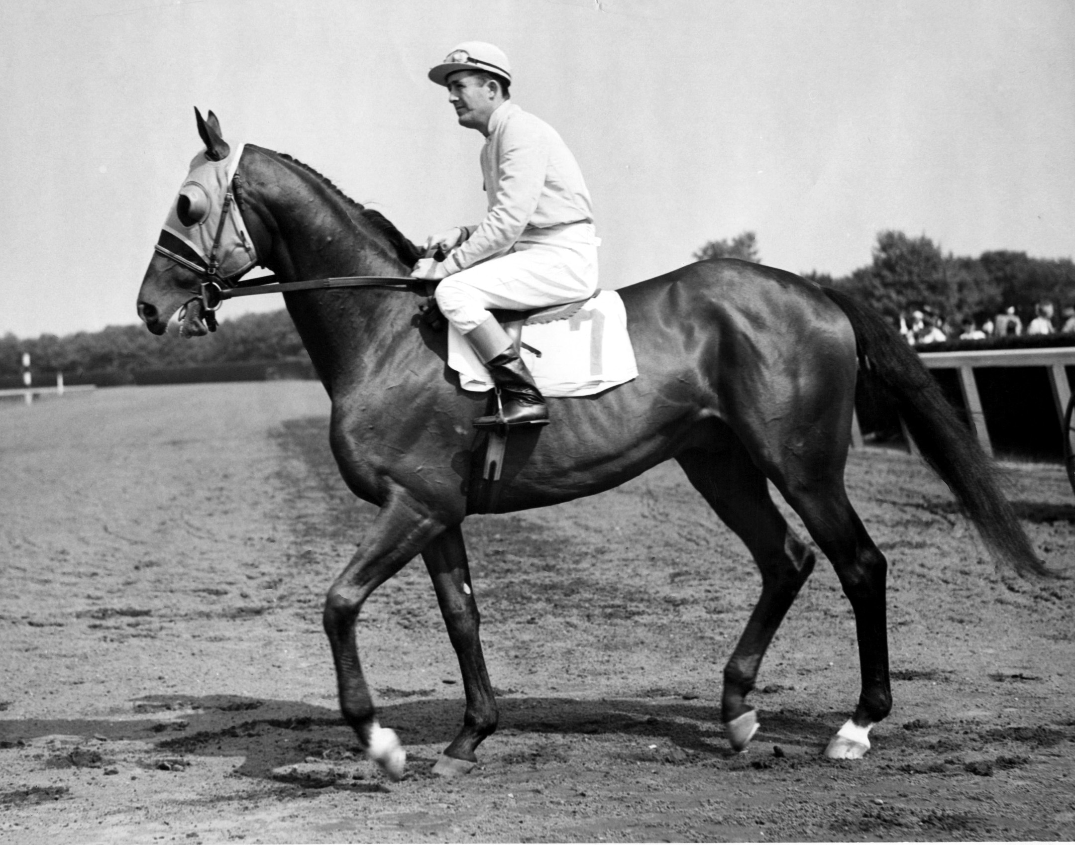 Alsab's final career race at Belmont Park, May 1944 (Museum Collection)