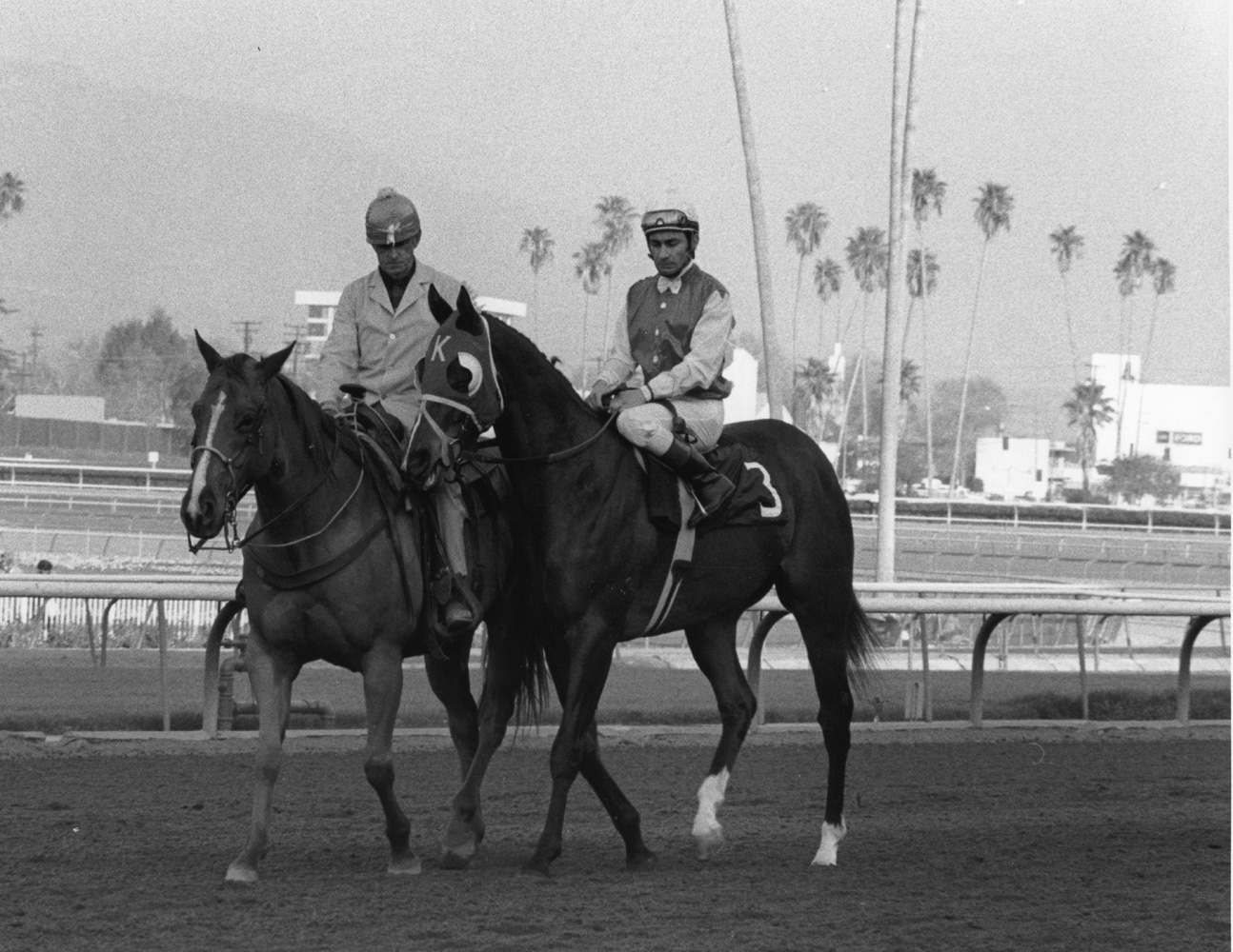 Ancient Title (Fernando Toro up) at the 1974 Malibu Stakes at Santa Anita (Bill Mochon/Museum Collection)