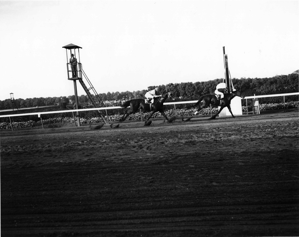Armed (Al Snider up) winning the 1947 Sysonby Mile at Belmont Park (Keeneland Library Morgan Collection/Museum Collection)