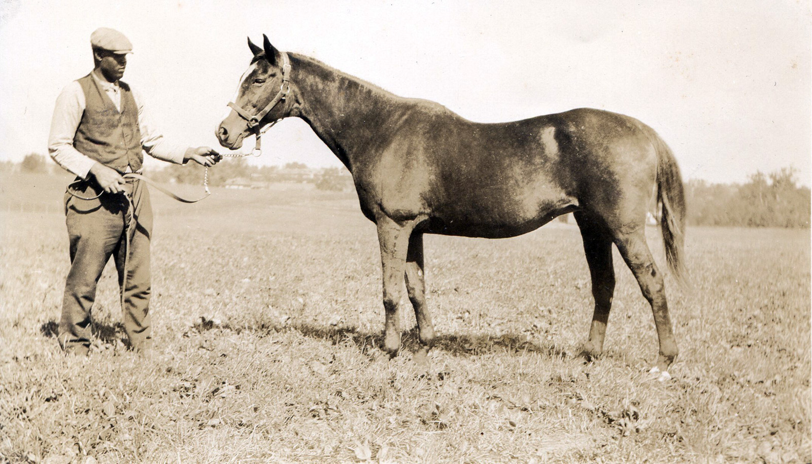 Artful in 1926 (L. S. Sutcliffe/Museum Collection)