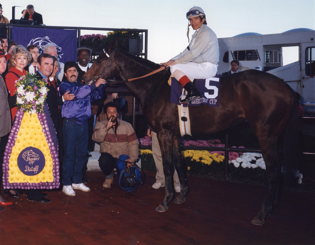 Bayakoa (Laffit Pincay, Jr. up) in the winner's circle for the 1990 Breeders' Cup Distaff at Belmont Park (Bob Coglianese/Museum Collection)
