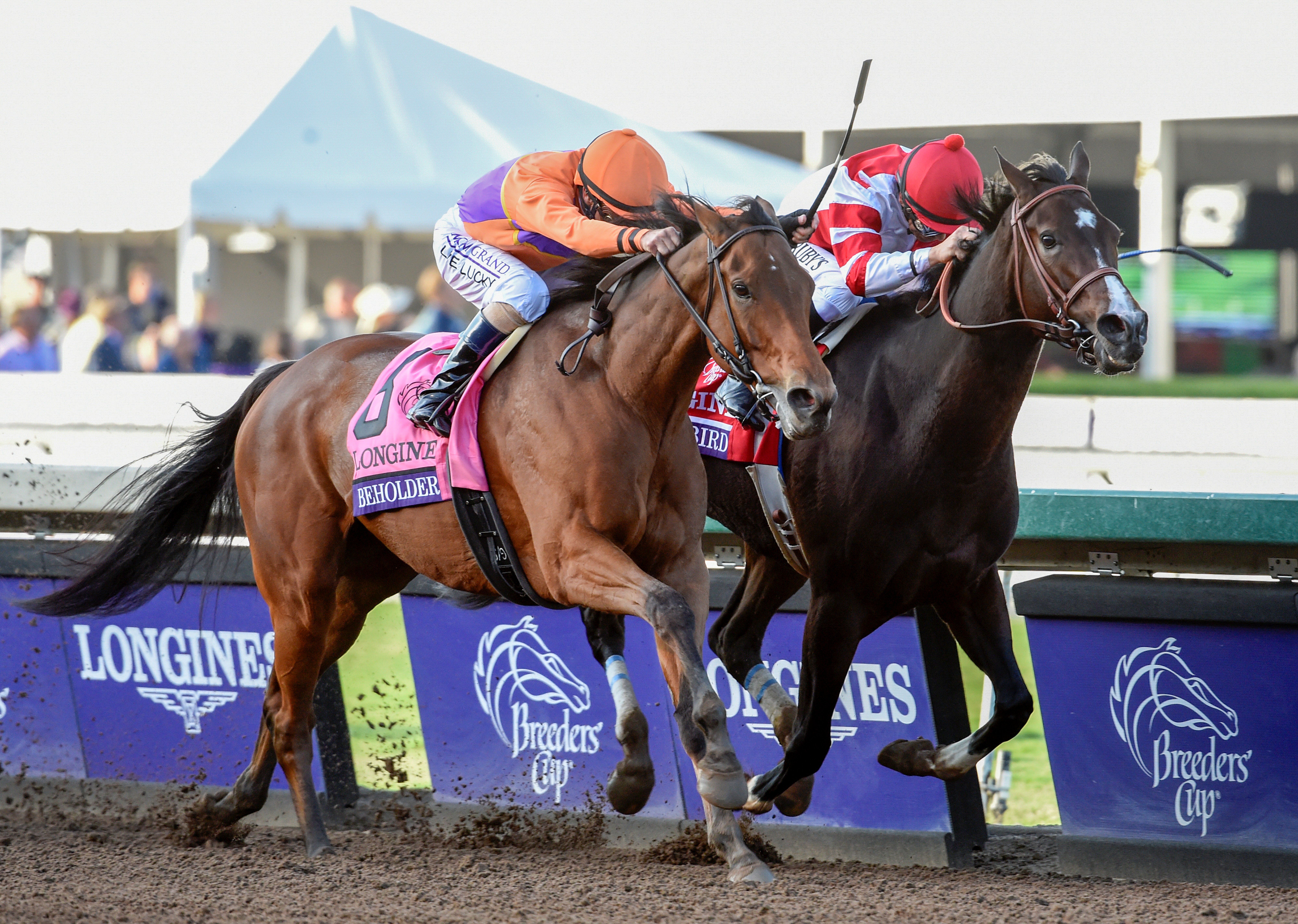 Beholder, Gary Stevens up, battles with Songbird, Mike Smith up in the 2016 Breeders' Cup Distaff at Santa Anita. Beholder won by a nose. (Skip Dickstein)