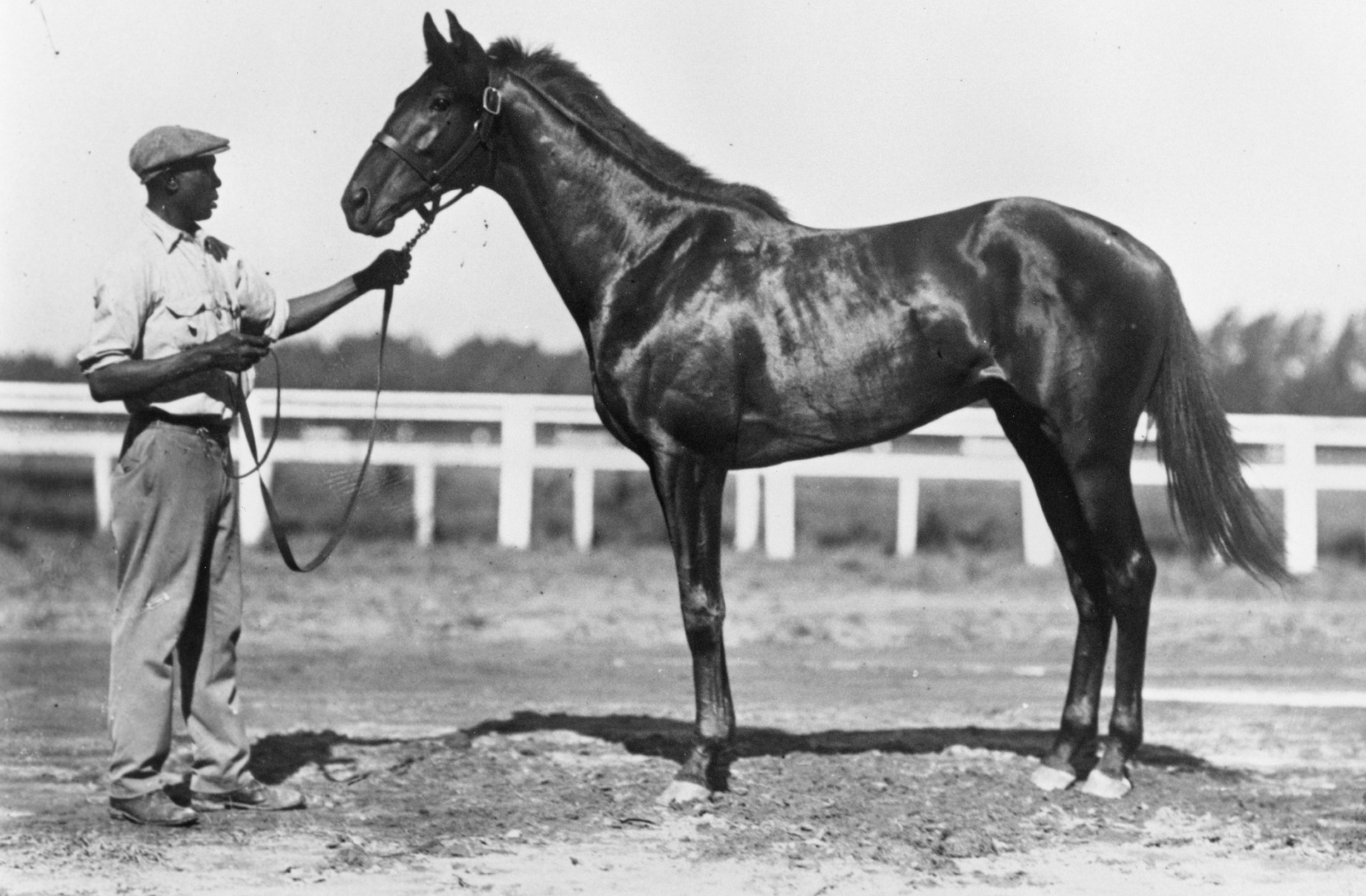 Blue Larkspur with unidentified handler (Keeneland Library Cook Collection/Museum Collection)