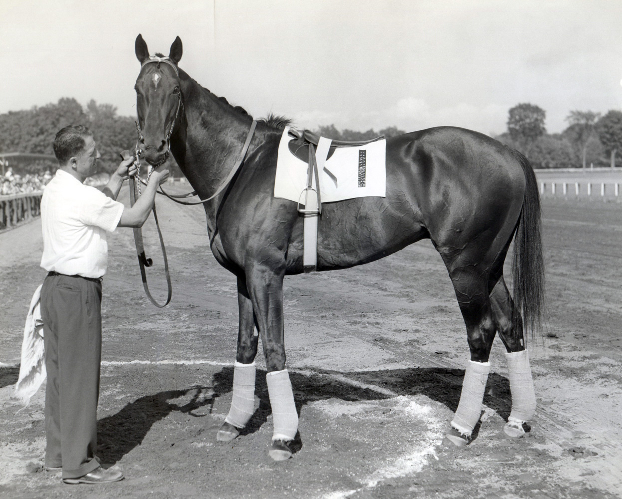 Bold Ruler (Mike Sirico/Museum Collection)