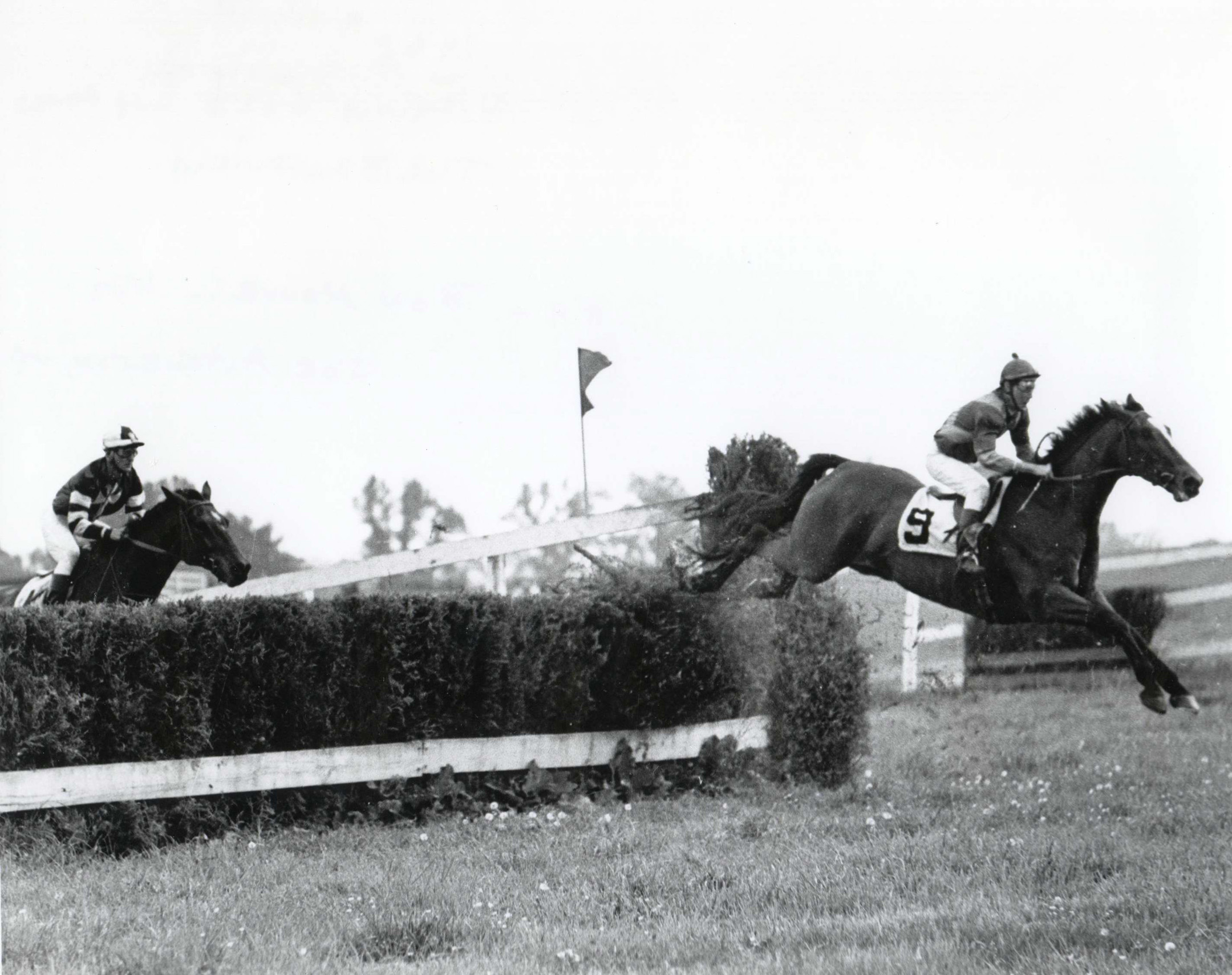 Bon Nouvel (Joe Aitcheson up) going over a jump at the Broadview on May 4, 1968 in Warrenton, Virginia (Douglas Lees/Museum Collection)