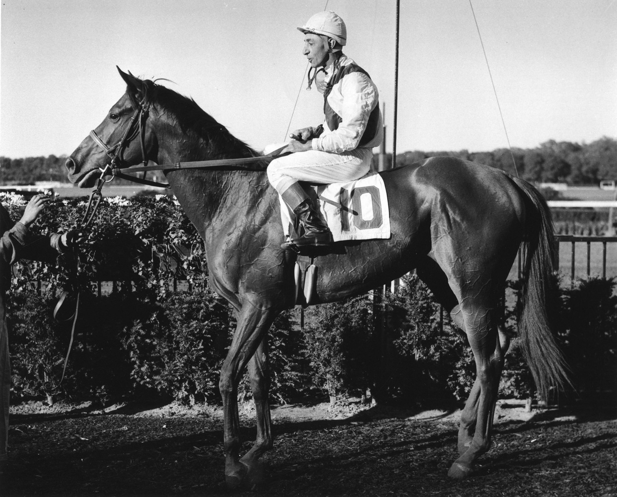 Bowl of Flowers (Eddie Arcaro up)  at Belmont Park, October 1960 (Bert and Richard Morgan/Museum Collection)