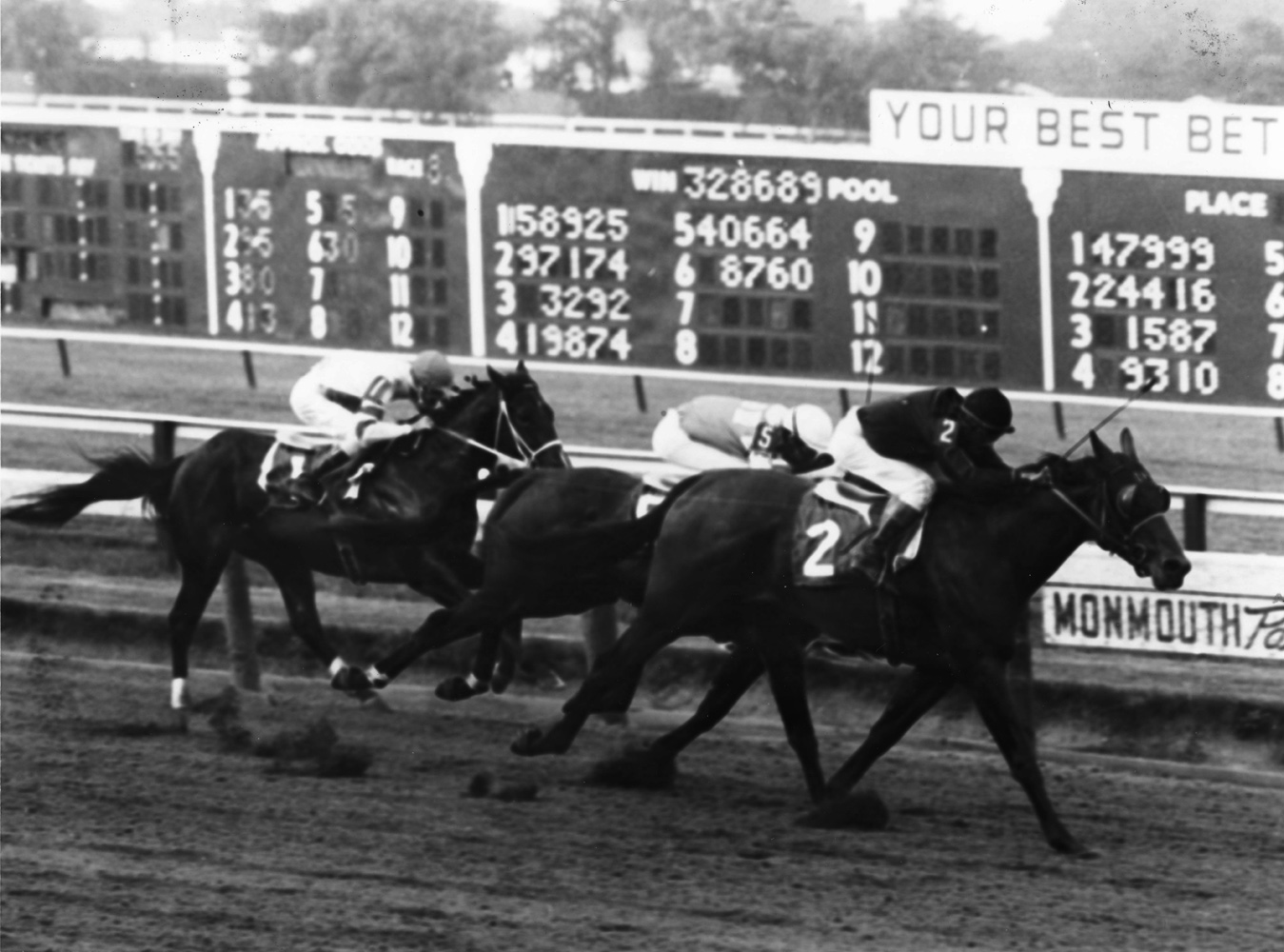 Buckpasser (Braulio Baeza up) winning the 1965 Sapling Stakes at Monmouth Park (Jim Raftery Turfotos/Museum Collection)