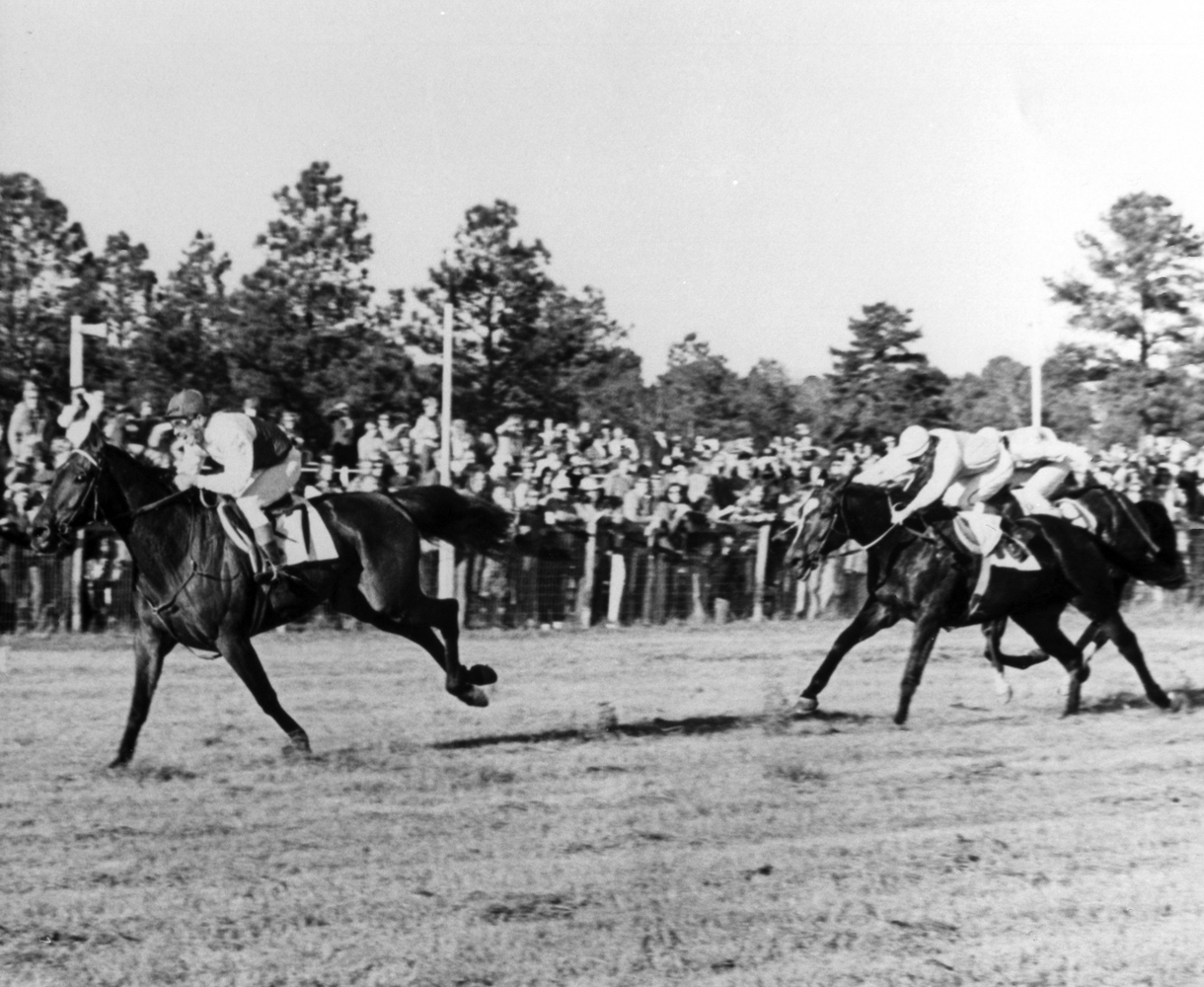 Café Prince (Dave Washer up) racing to victory in the 1975 Colonial Cup at Camden (The BloodHorse/Museum Collection)