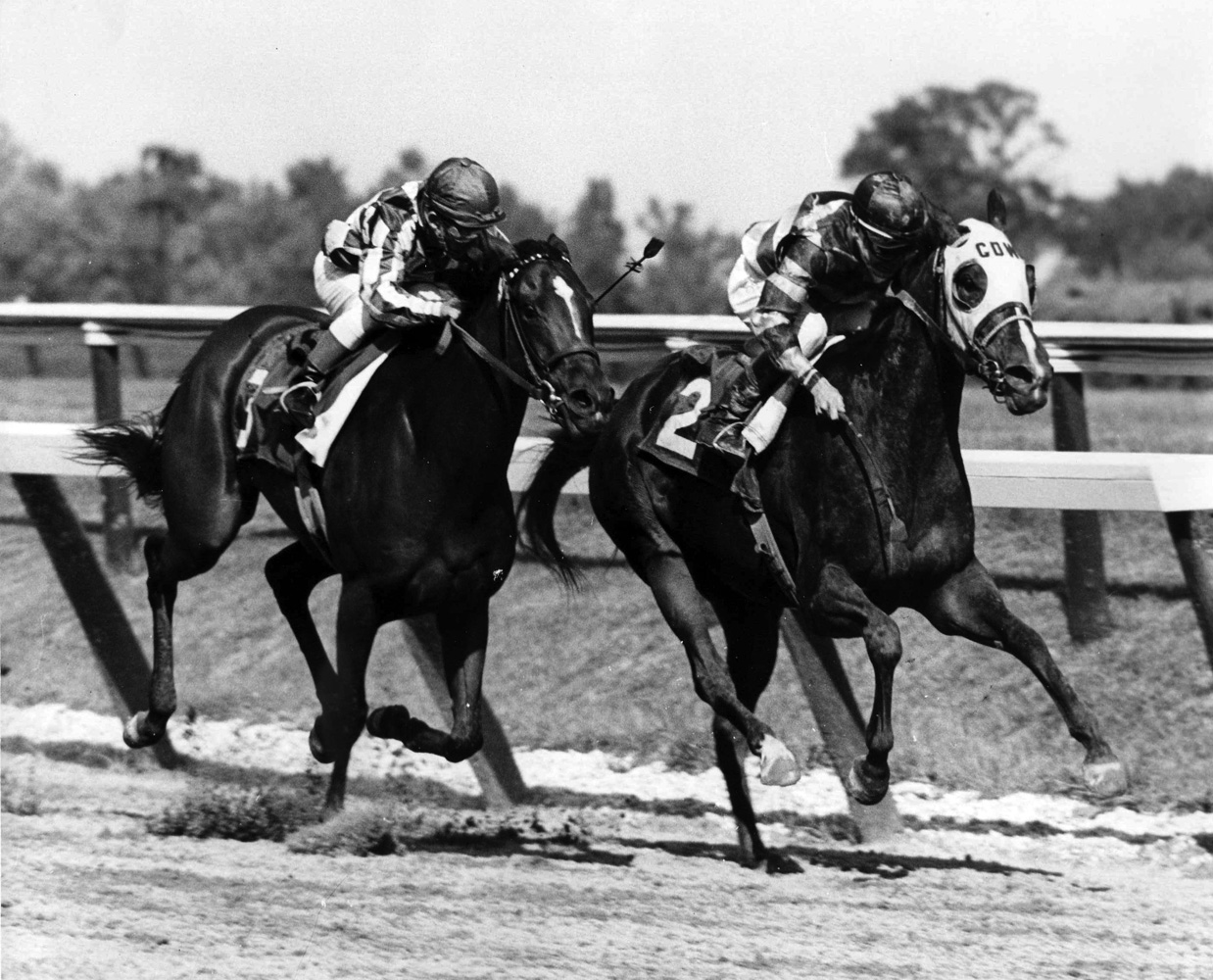 Cicada (on left with Bill Shoemaker up) racing in the 1962 Delaware Handicap (Delaware Park Photo/Museum Collection)
