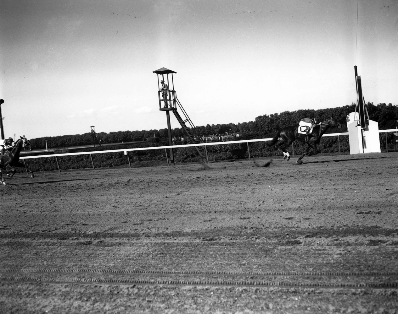 Coaltown (Niebold Pierson up) winning the 1948 Jerome Handicap at Belmont Park (Keeneland Library Morgan Collection/Museum Collection)