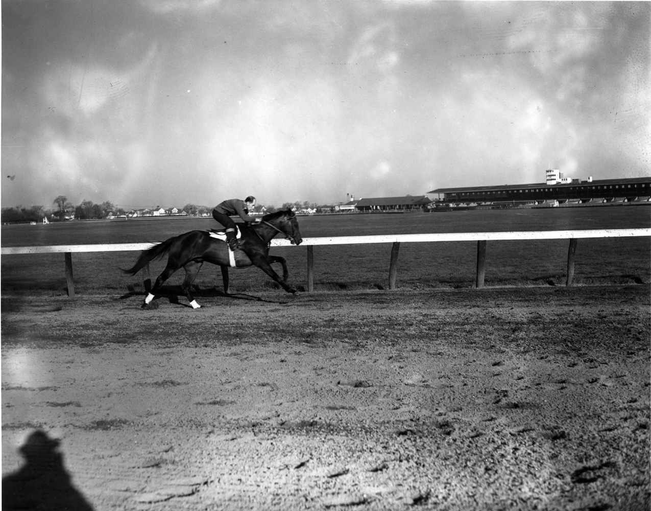 Coaltown working out at Jamaica Racetrack, April 1949 (Keeneland Library Morgan Collection/Museum Collection)