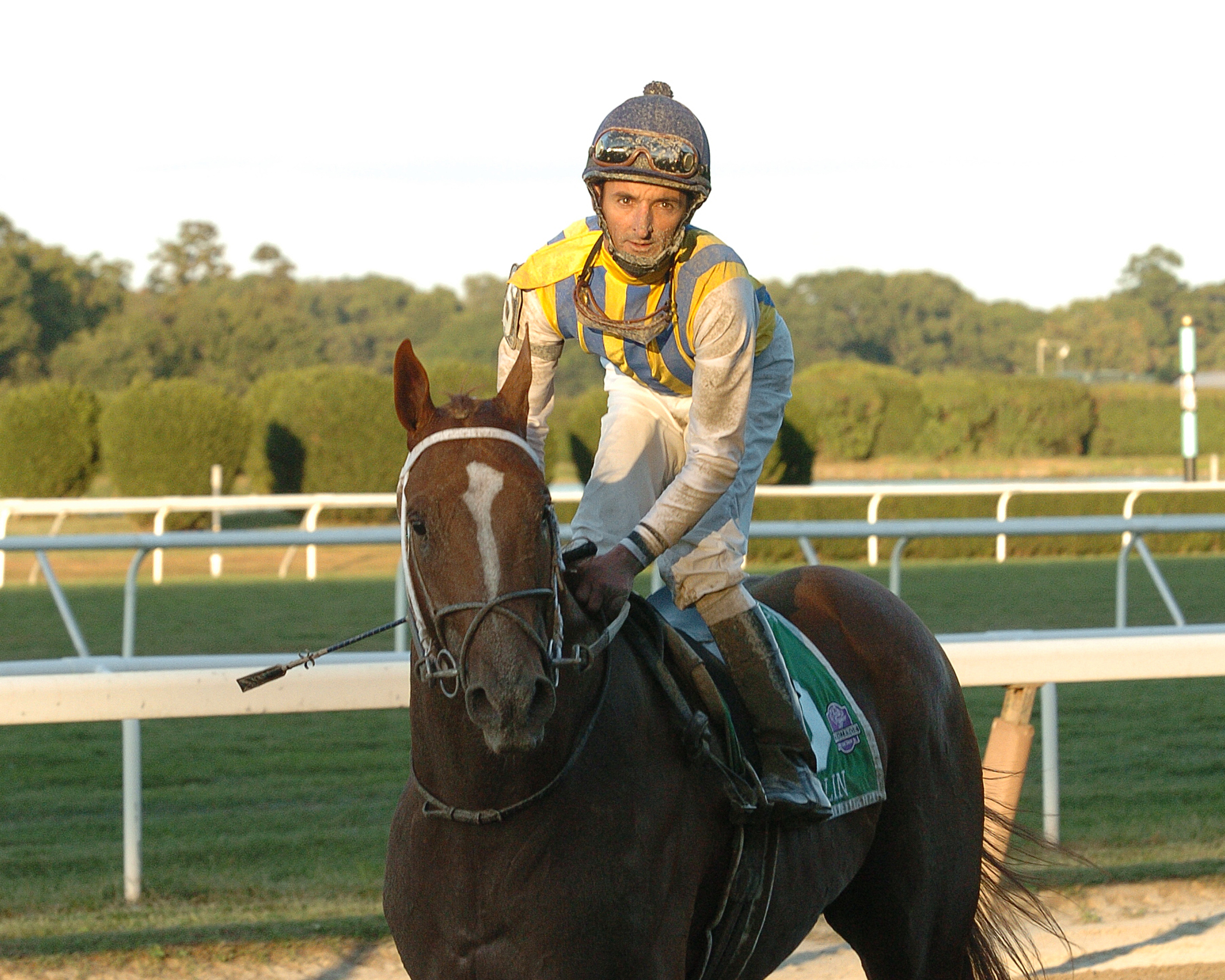 Curlin, Robby Albarado up, after winning the 2007 Jockey Club Gold Cup at Belmont Park (NYRA)