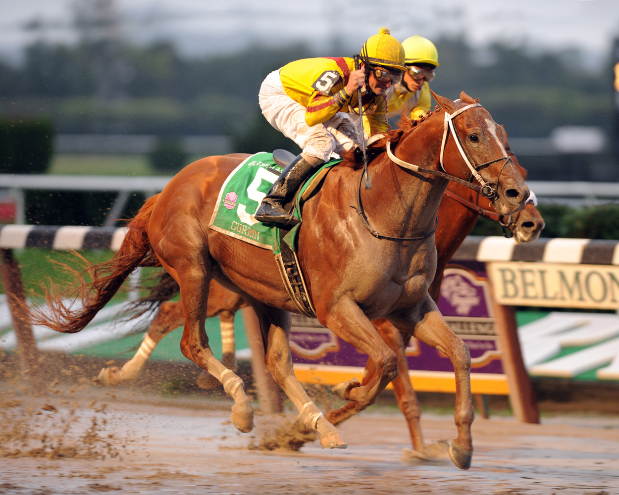 Curlin and Robby Albarado winning their second consecutive Jockey Club Gold Cup (NYRA)