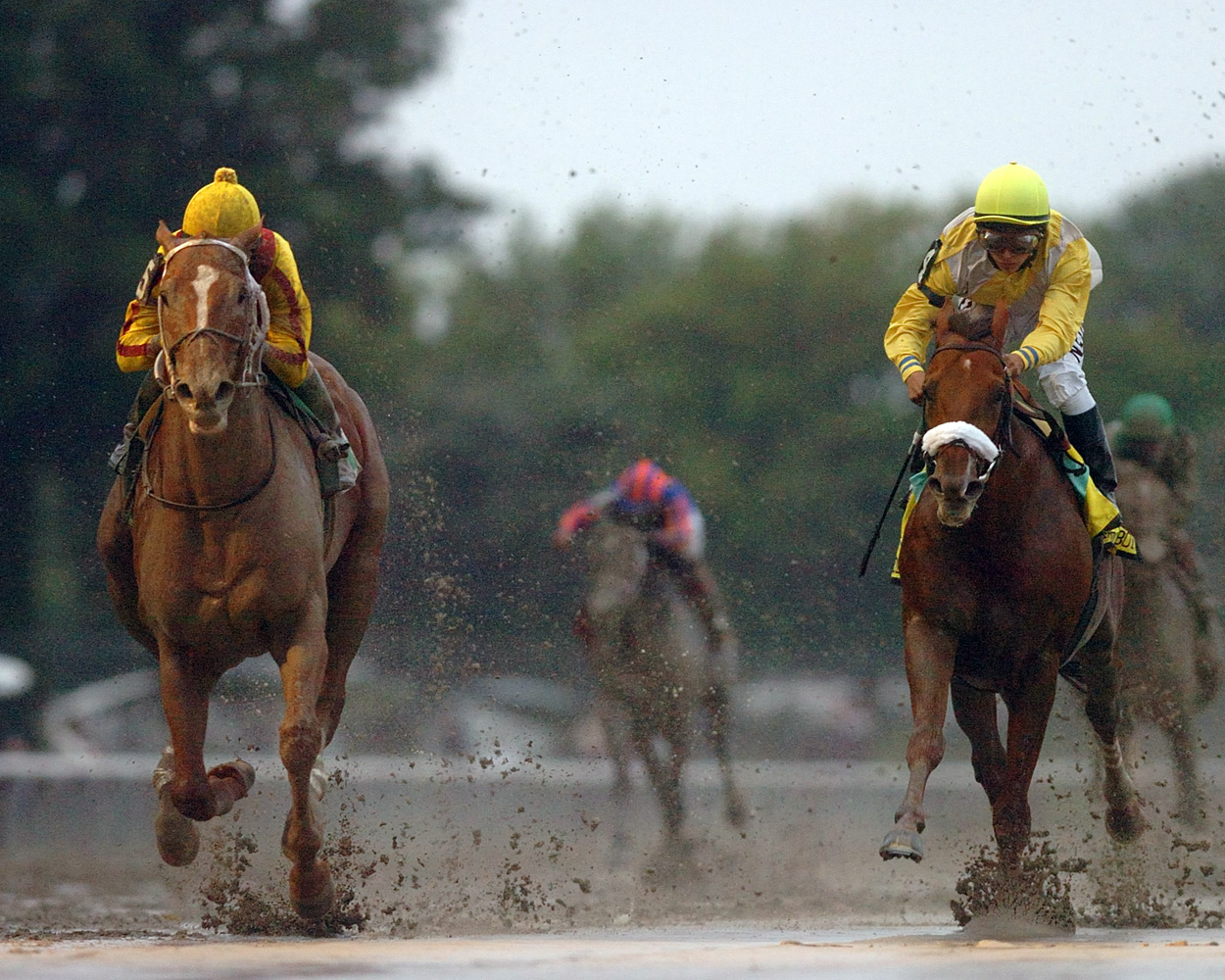 Curlin (Robby Albarado up) racing down the stretch in the 2008 Jockey Club Gold Cup at Belmont Park (NYRA)
